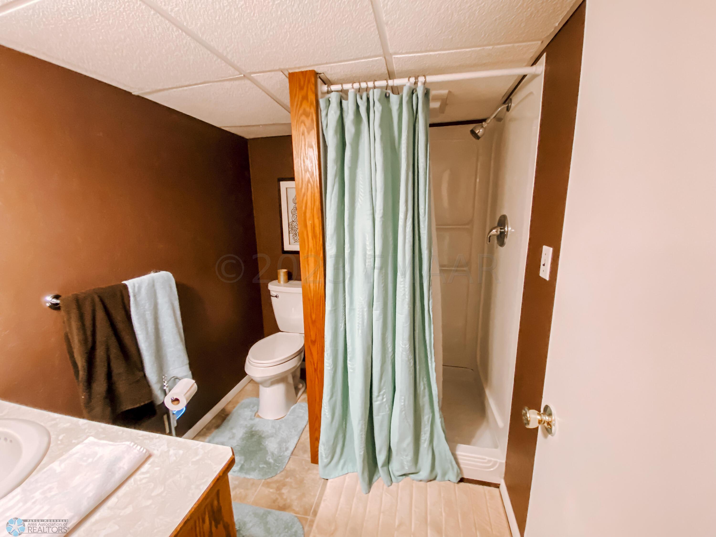 Basement Bathroom