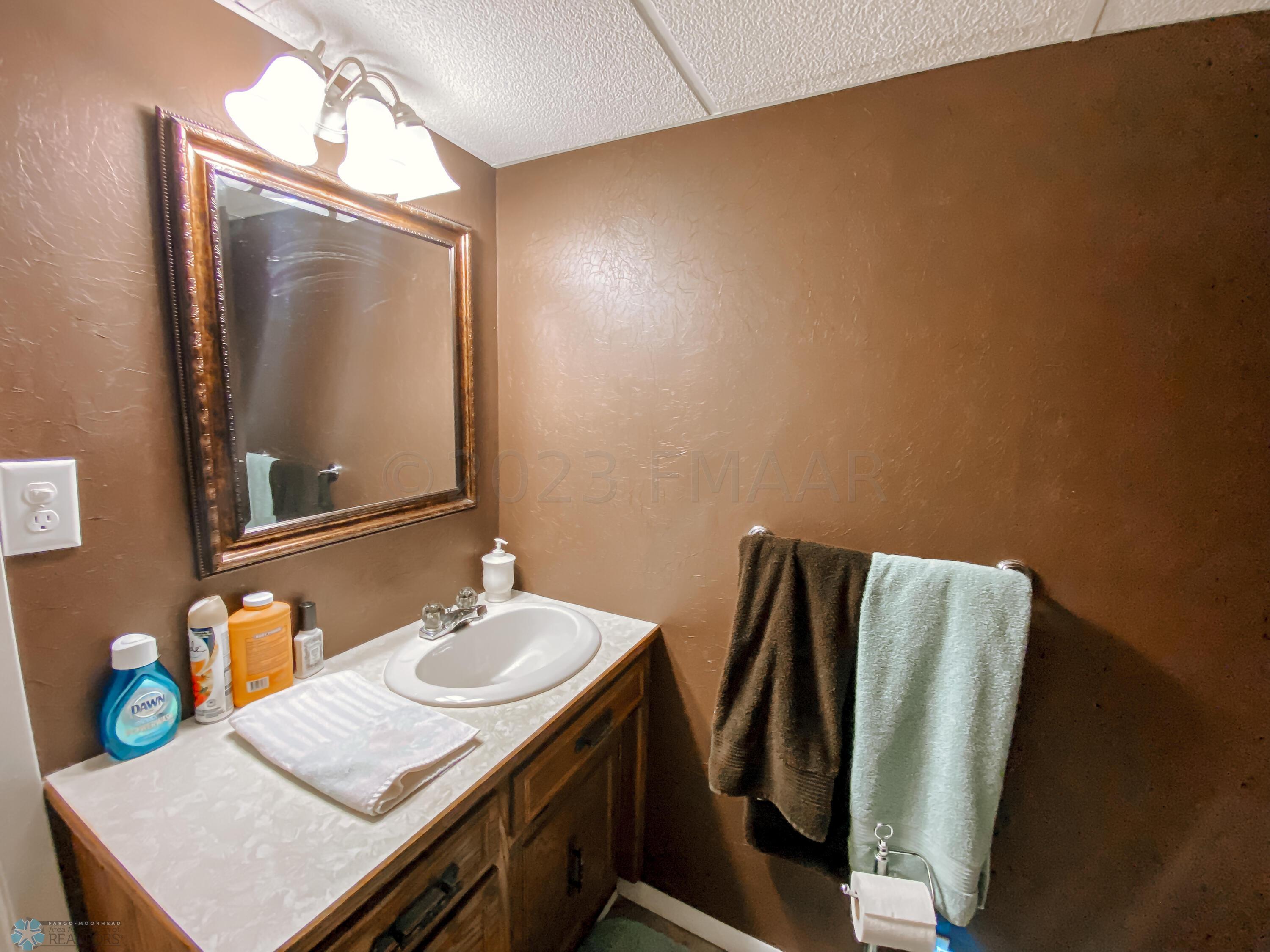 Basement Bathroom
