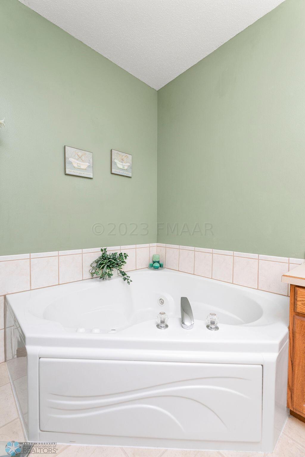 Master Bathroom Soaking Tub