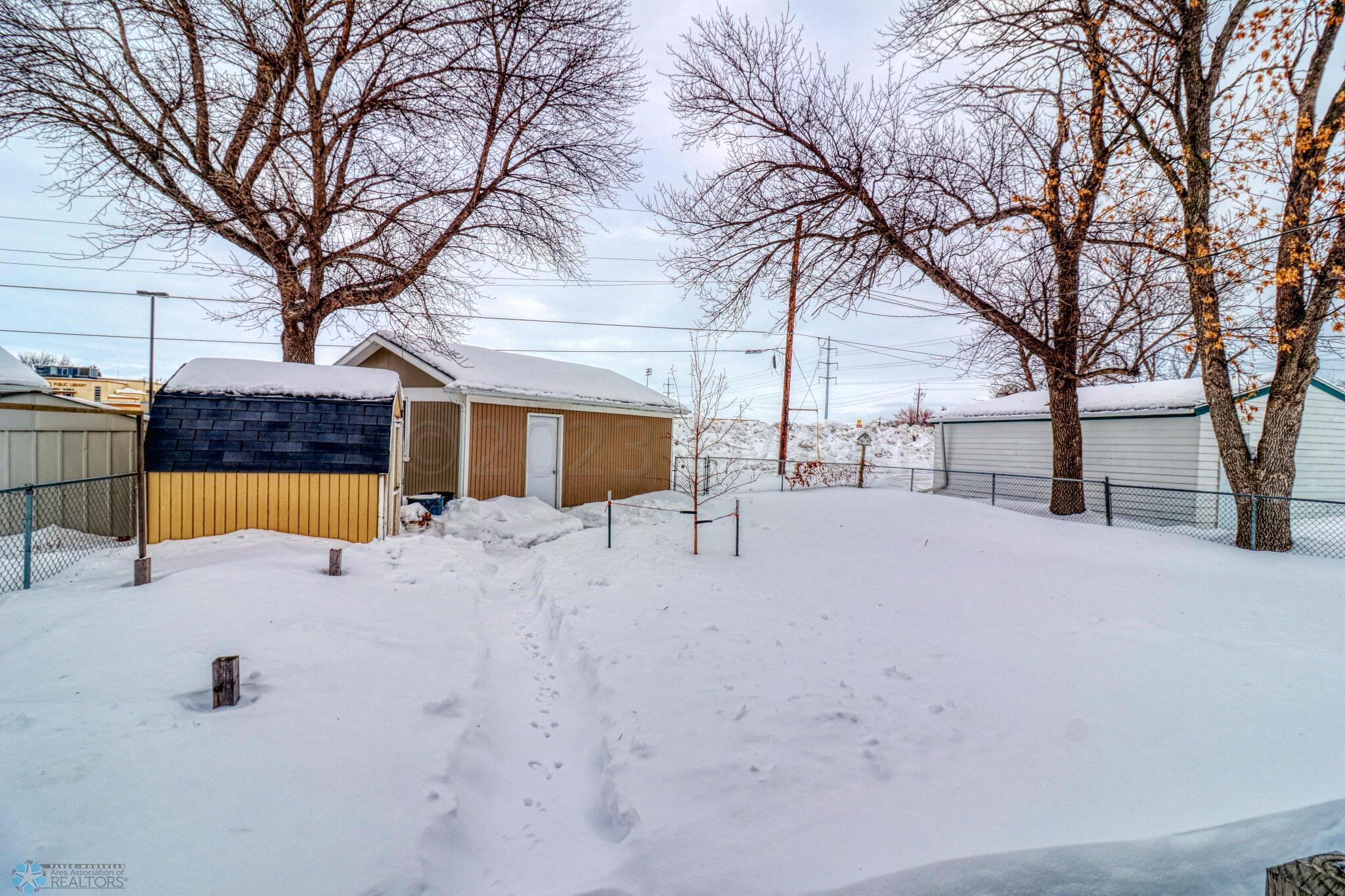 Backyard1_3
