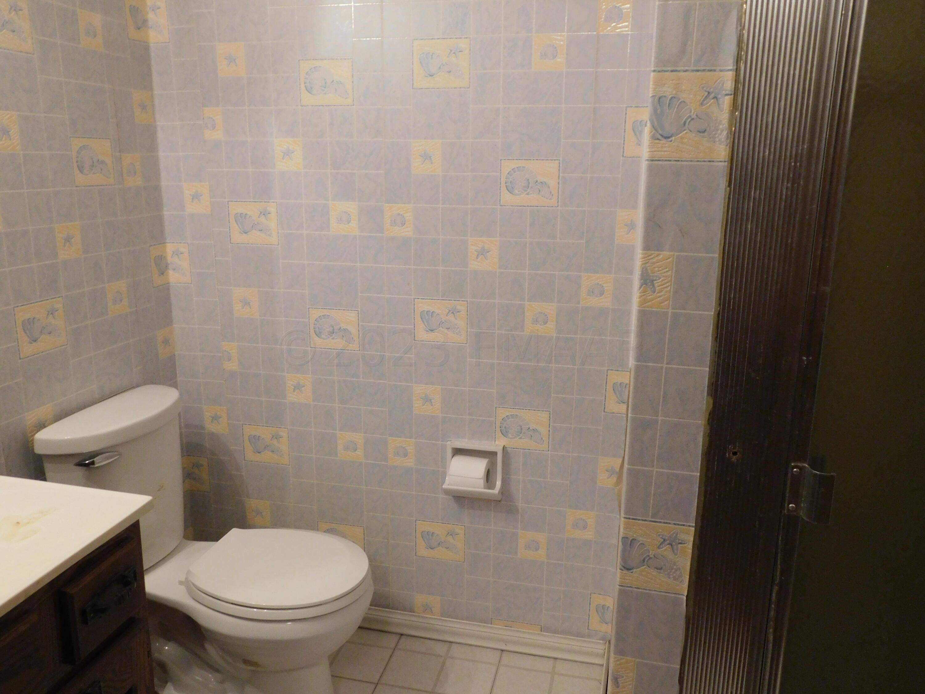 basement bathroom