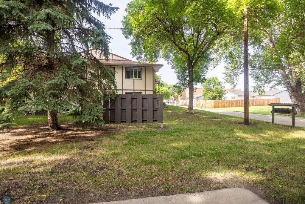 Back yard