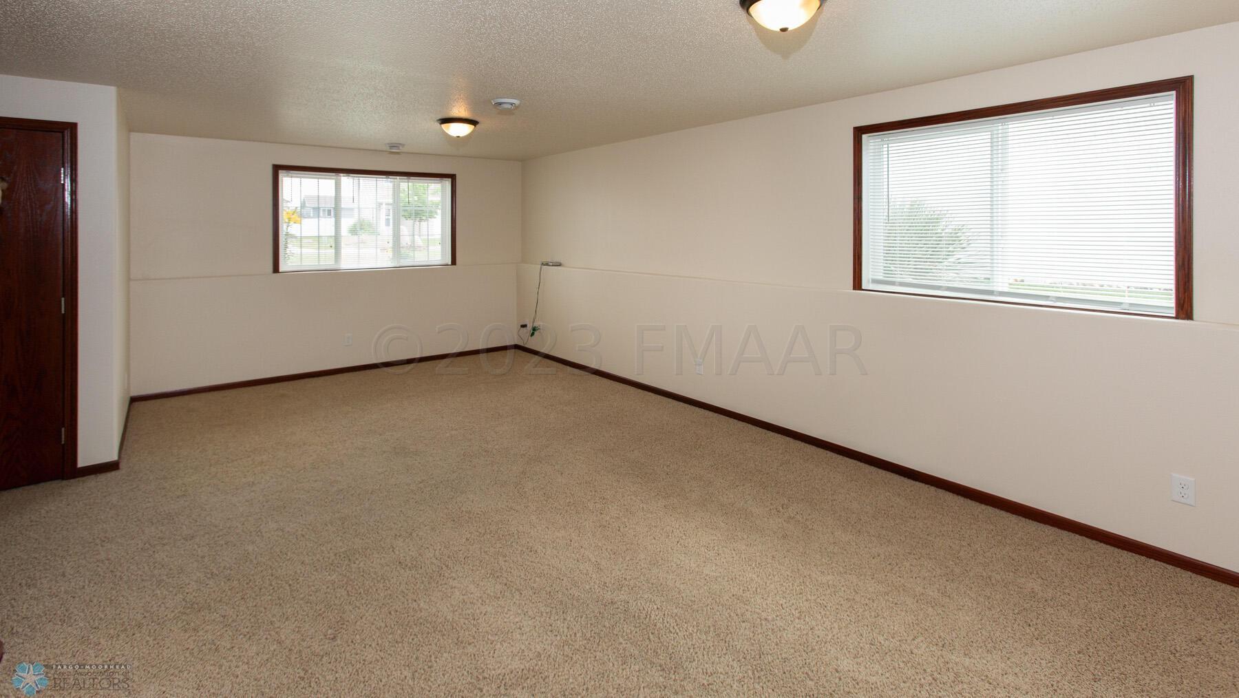 Lower Level Family Room