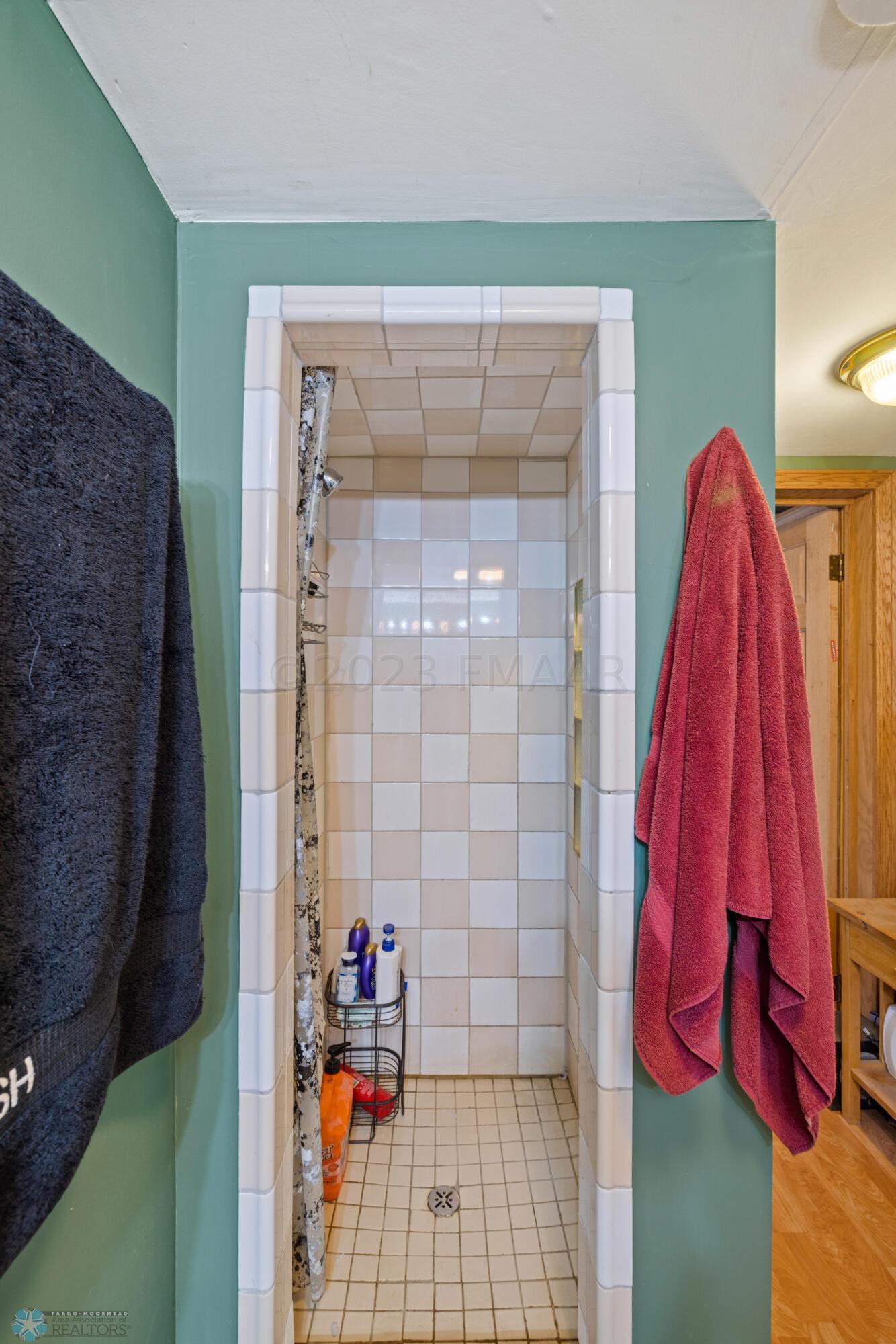 Basement Bathroom