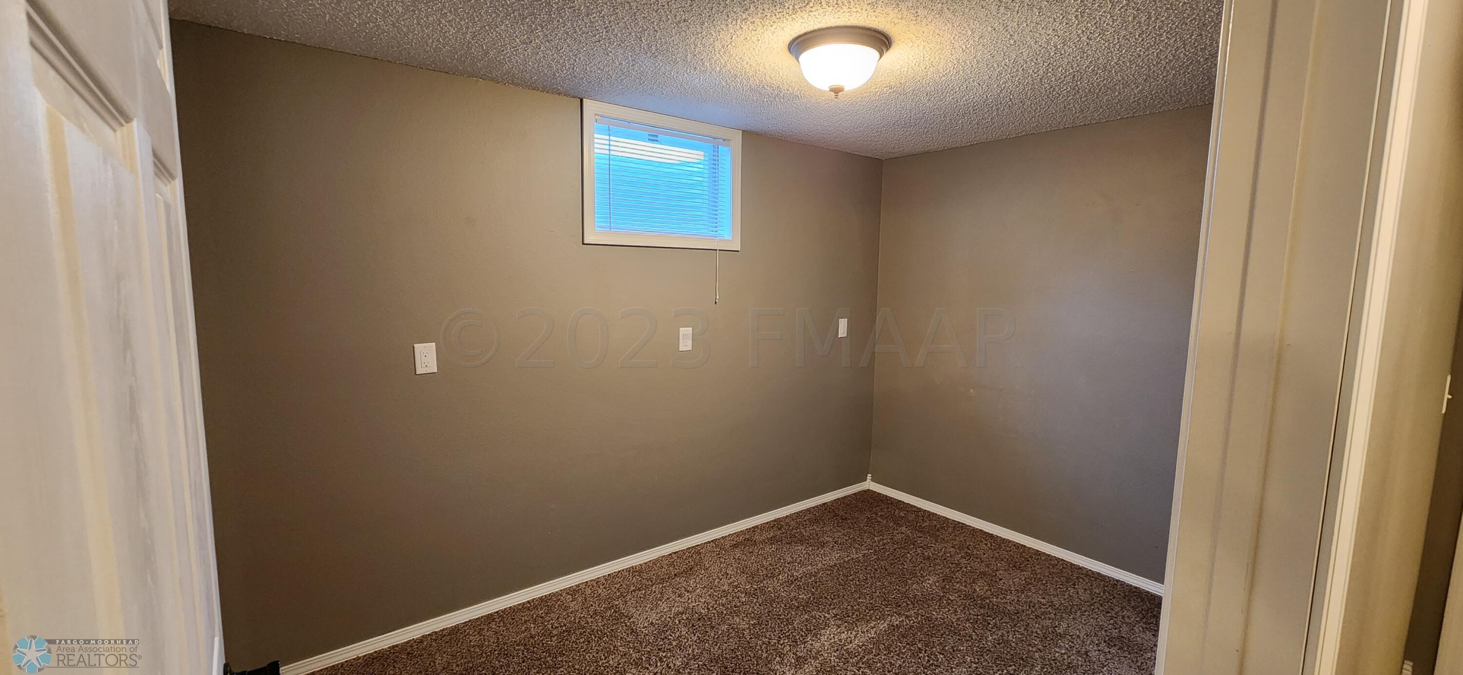 Basement Flex Room