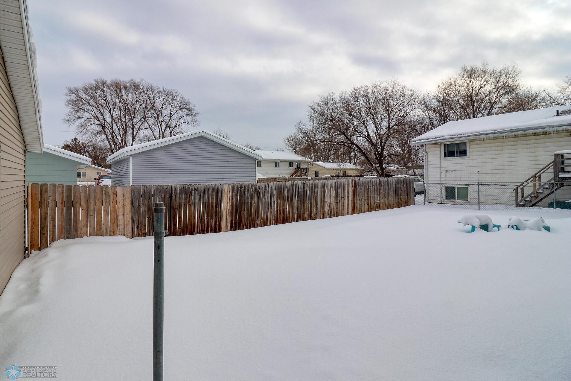 Backyard1_1