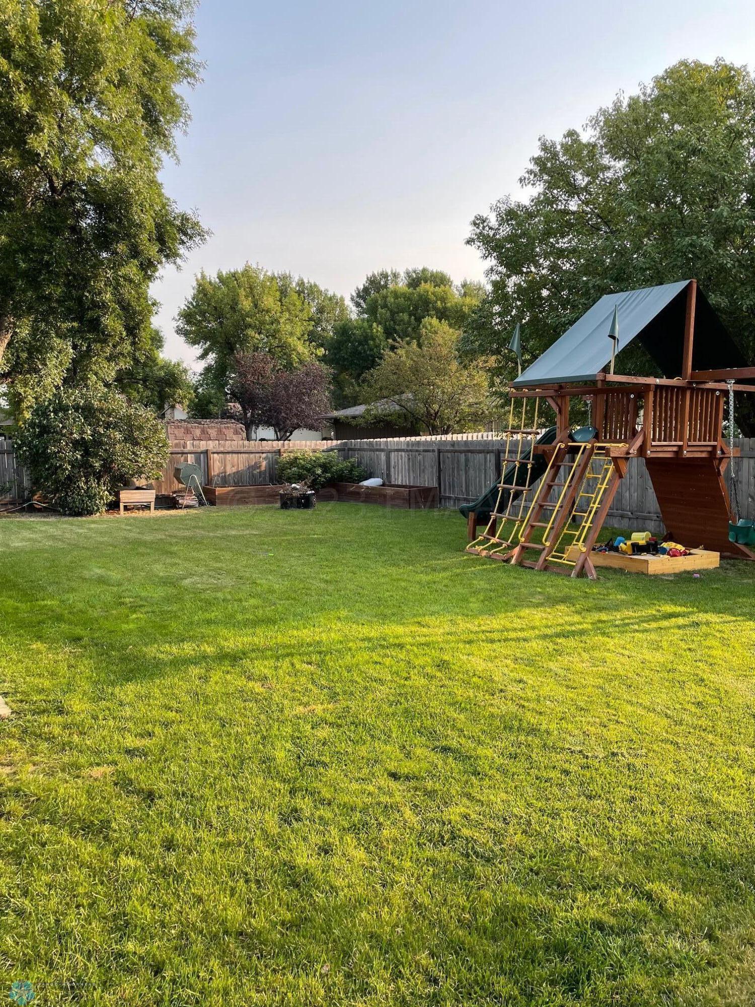 Yard in Summer