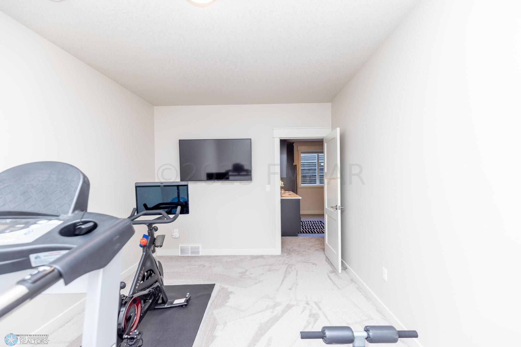 Basement Flex Room