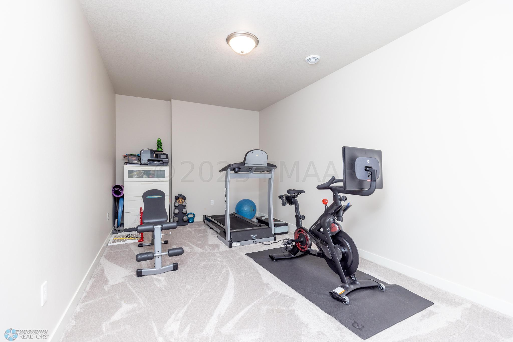 Basement Flex Room