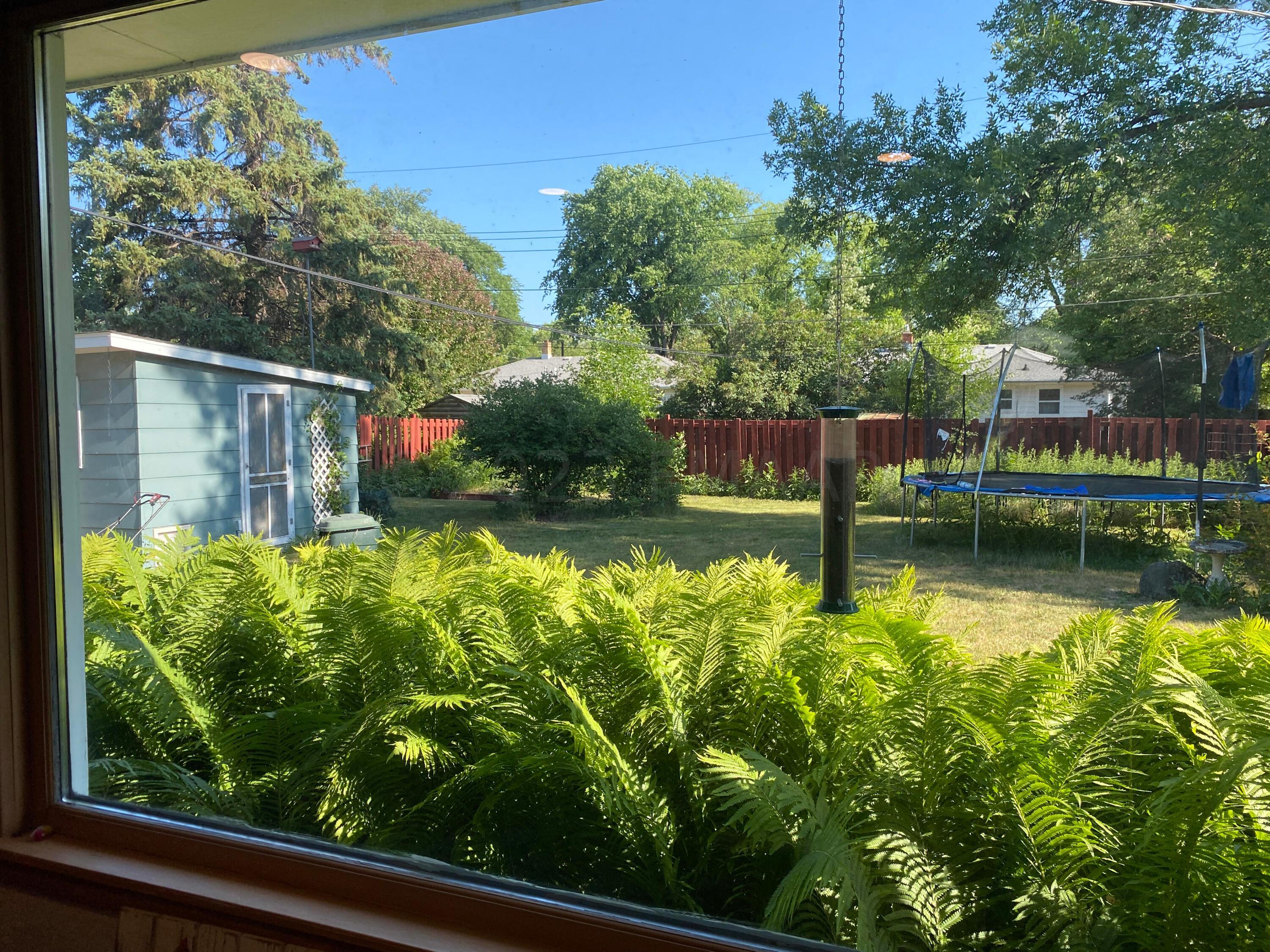 View from living room of backyard