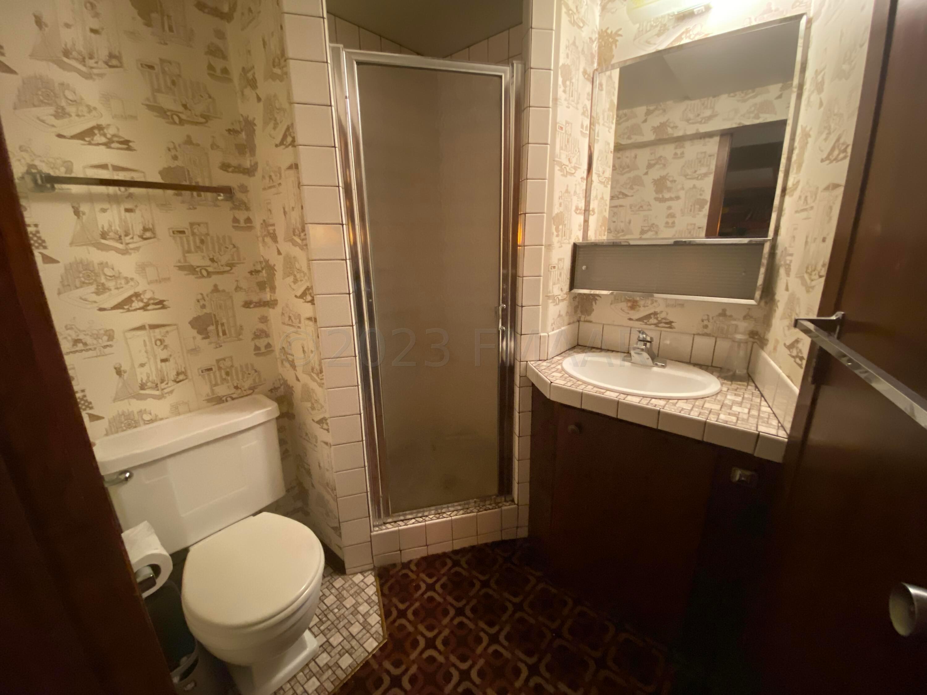 Basement bathroom
