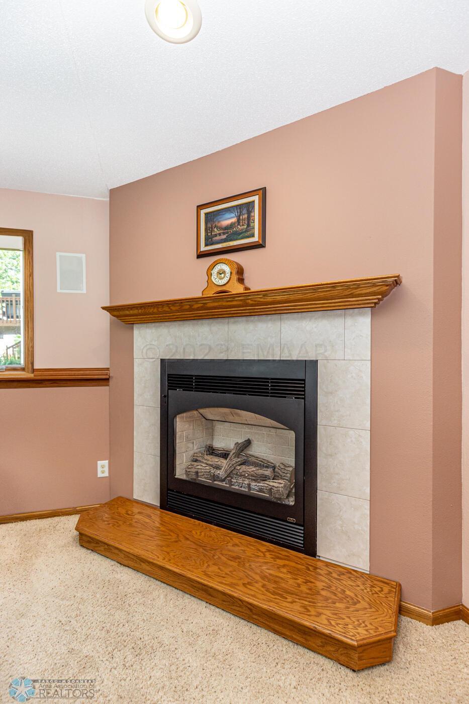 Gas Fireplace