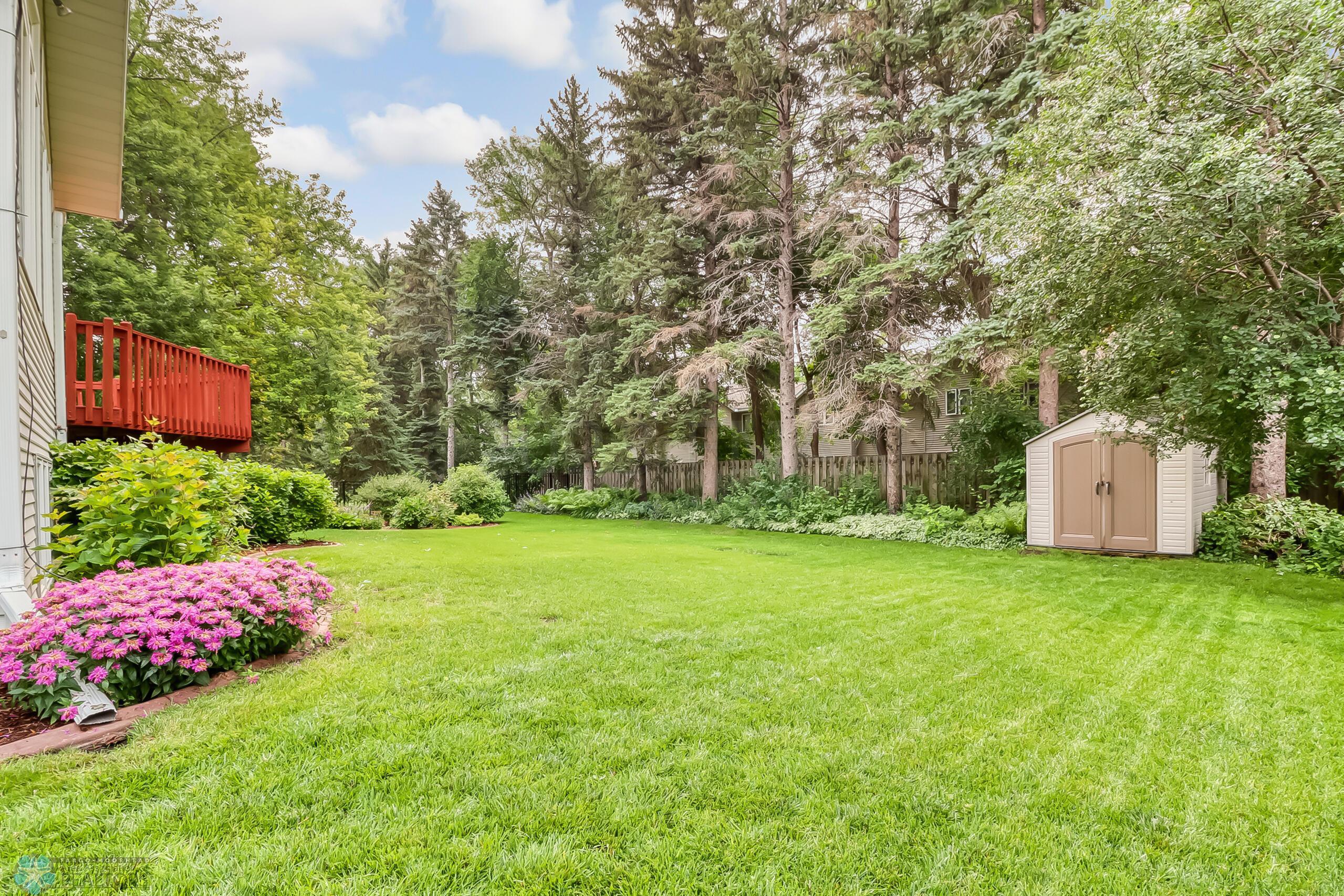 Backyard1_3