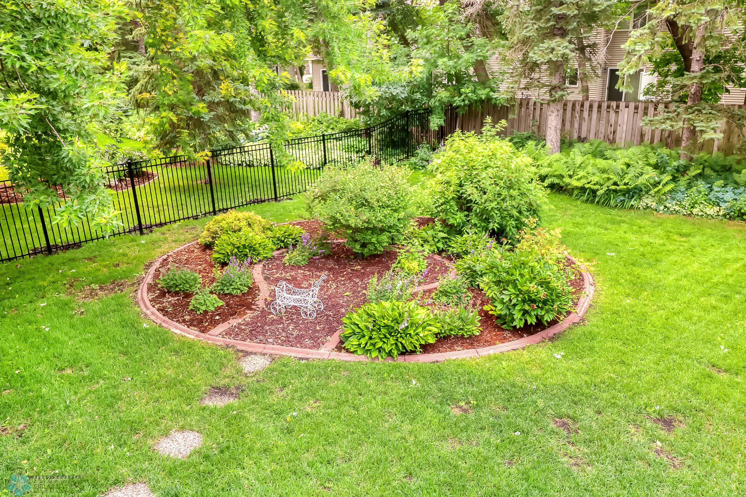 Backyard1_5