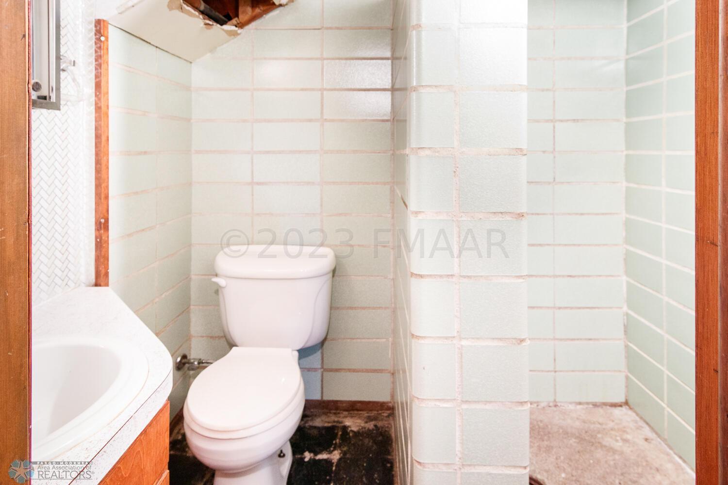 Basement Bathroom