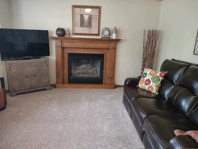 Gas fireplace