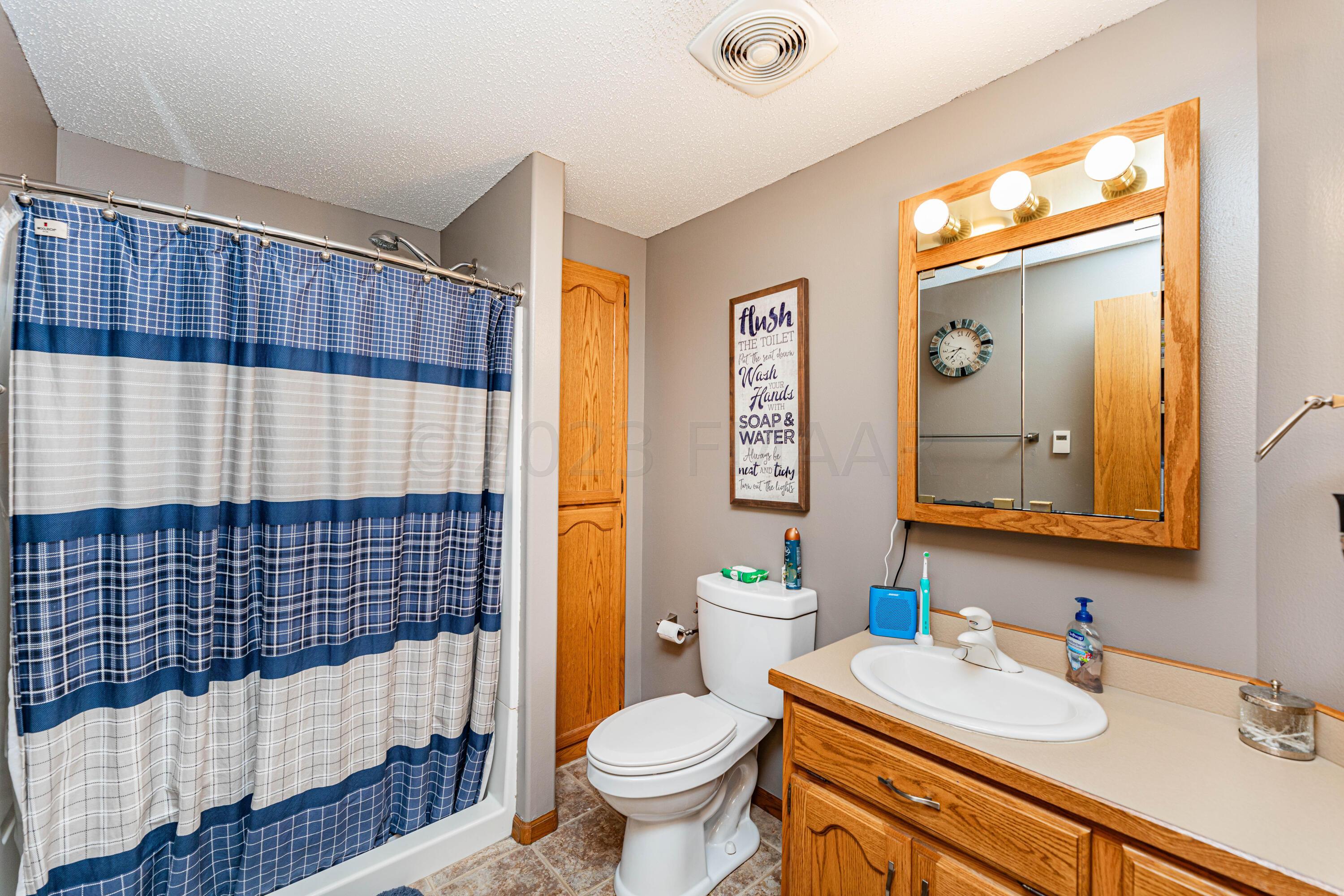 Lower Level Bathroom