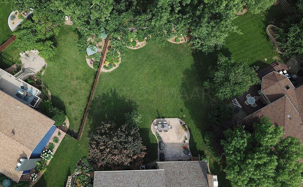 Backyard Oasis
