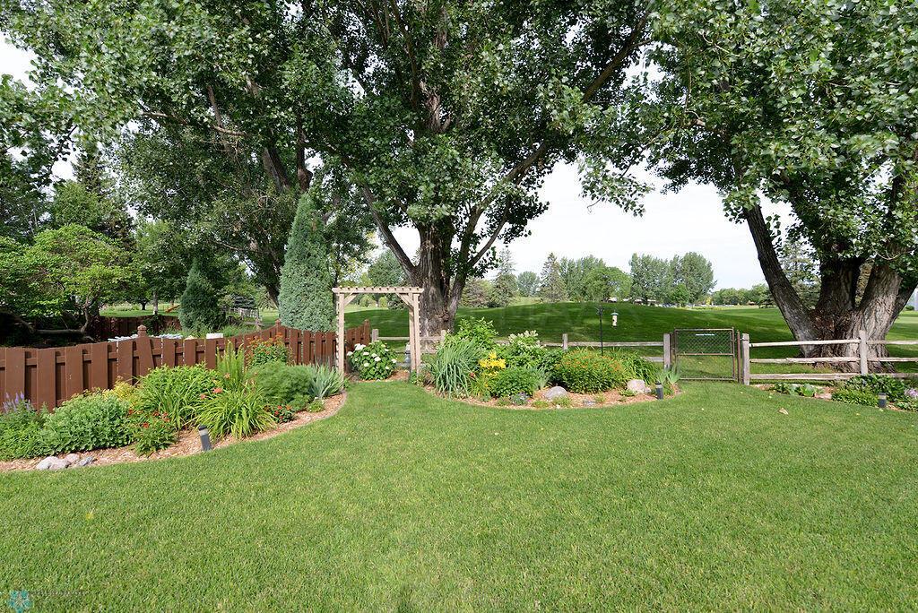 Mature Trees