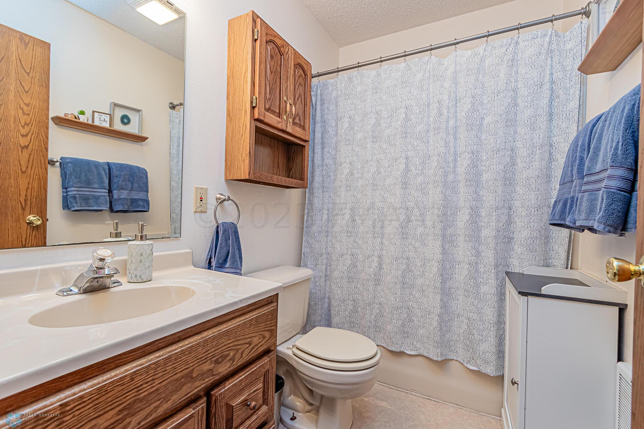 Lower level bathroom