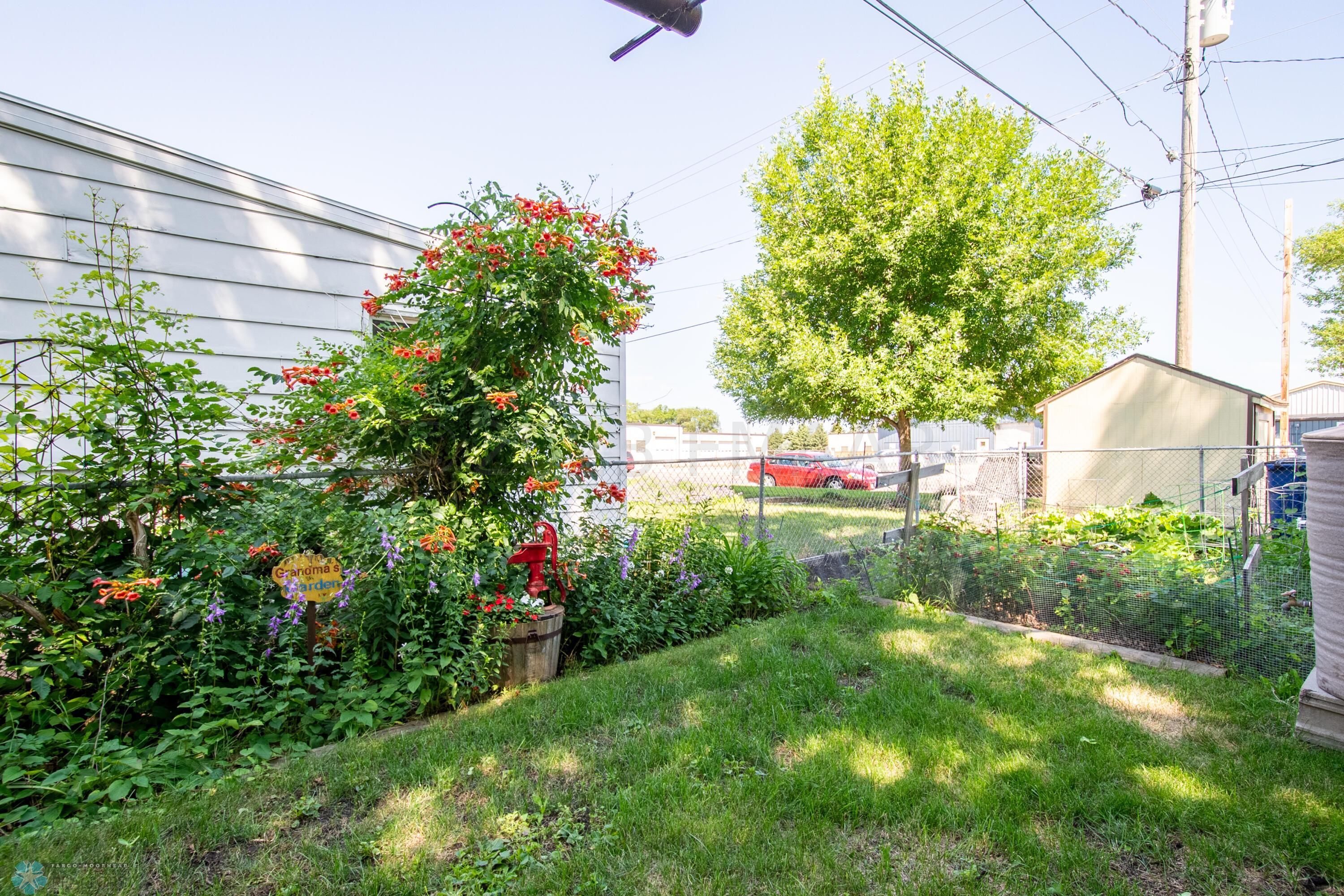 Garden