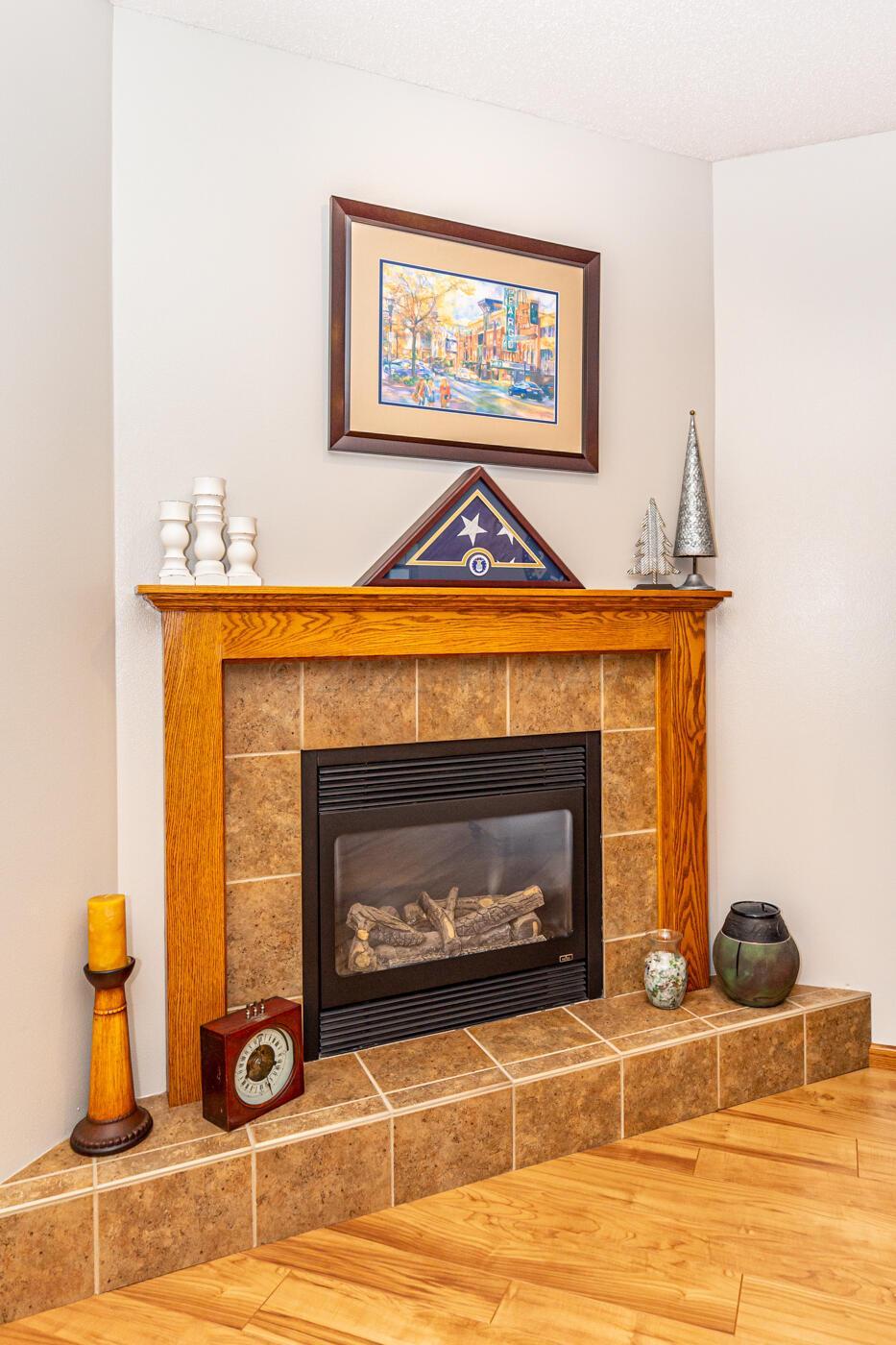 Gas Fireplace/Living Room