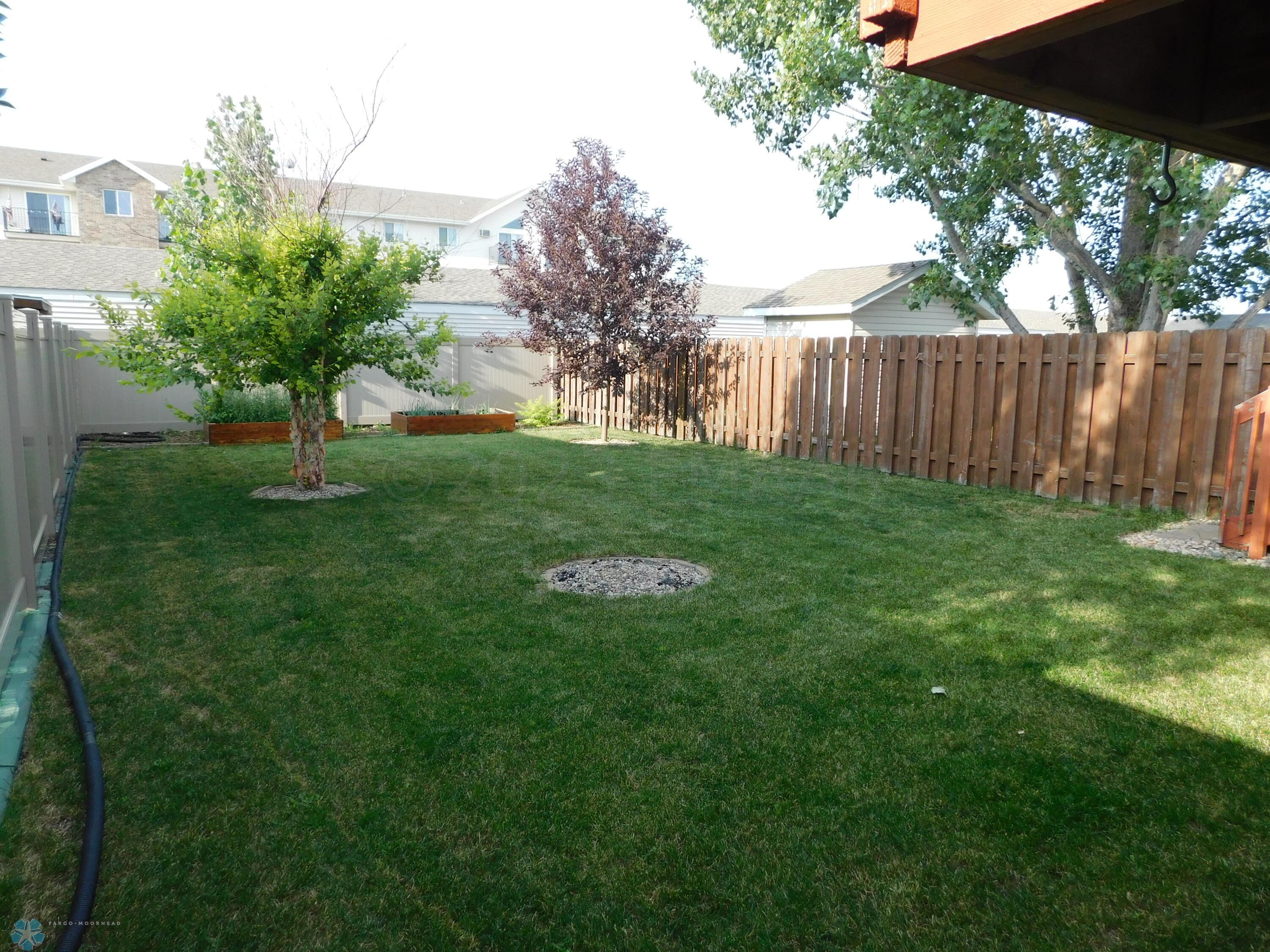 back yard