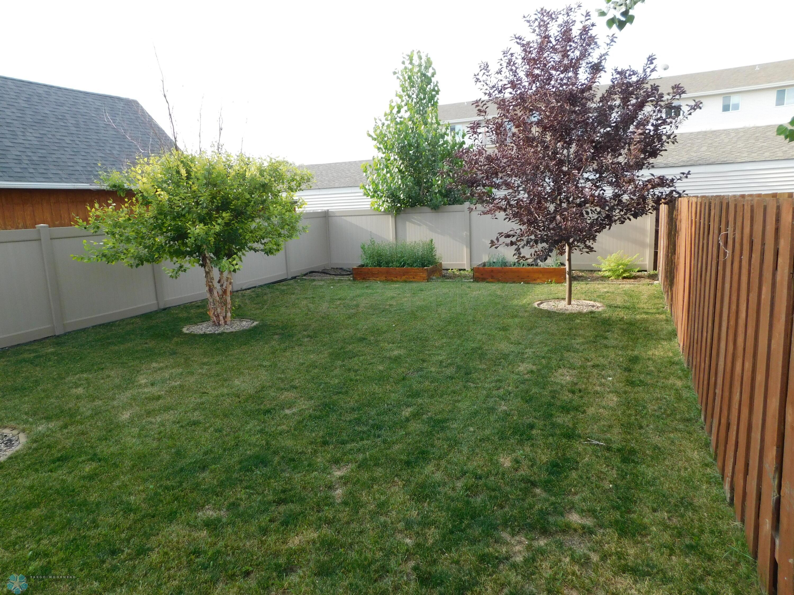 back yard