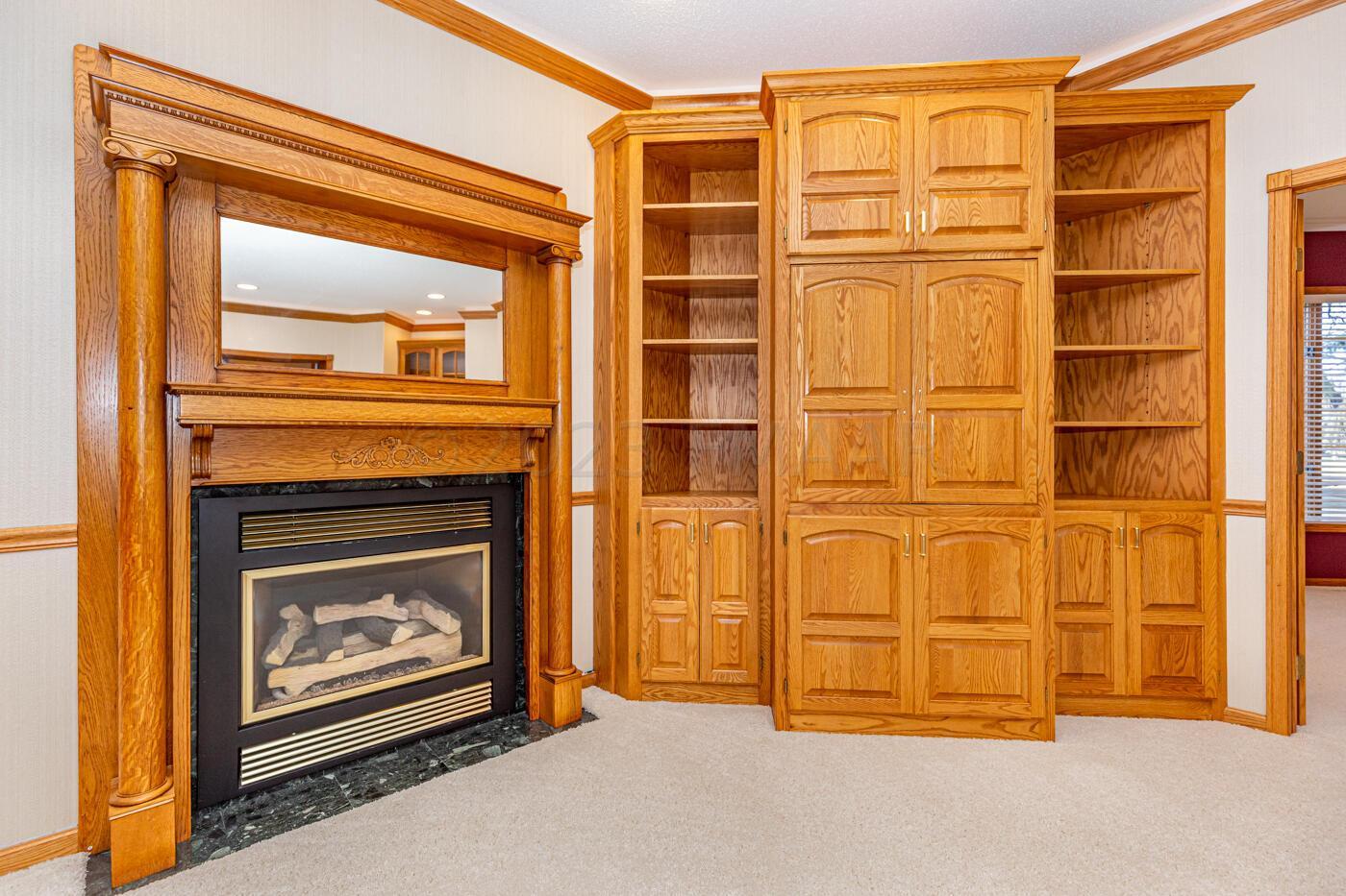 Living Fireplace & Built-ins