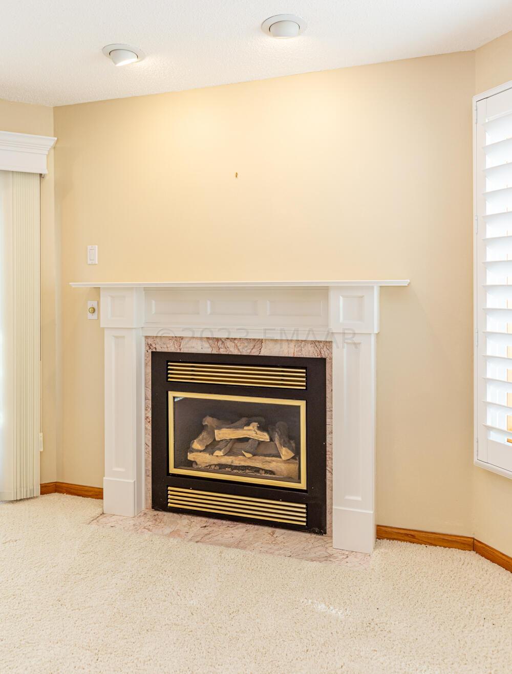 Gas Fireplace