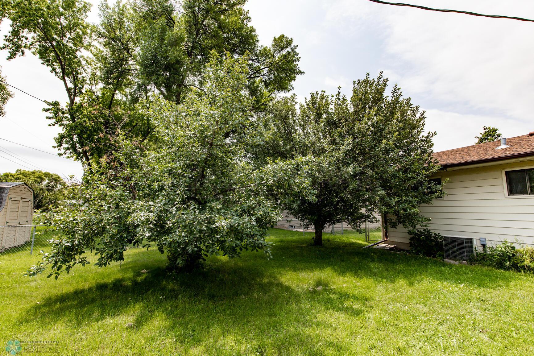2 Apple Trees