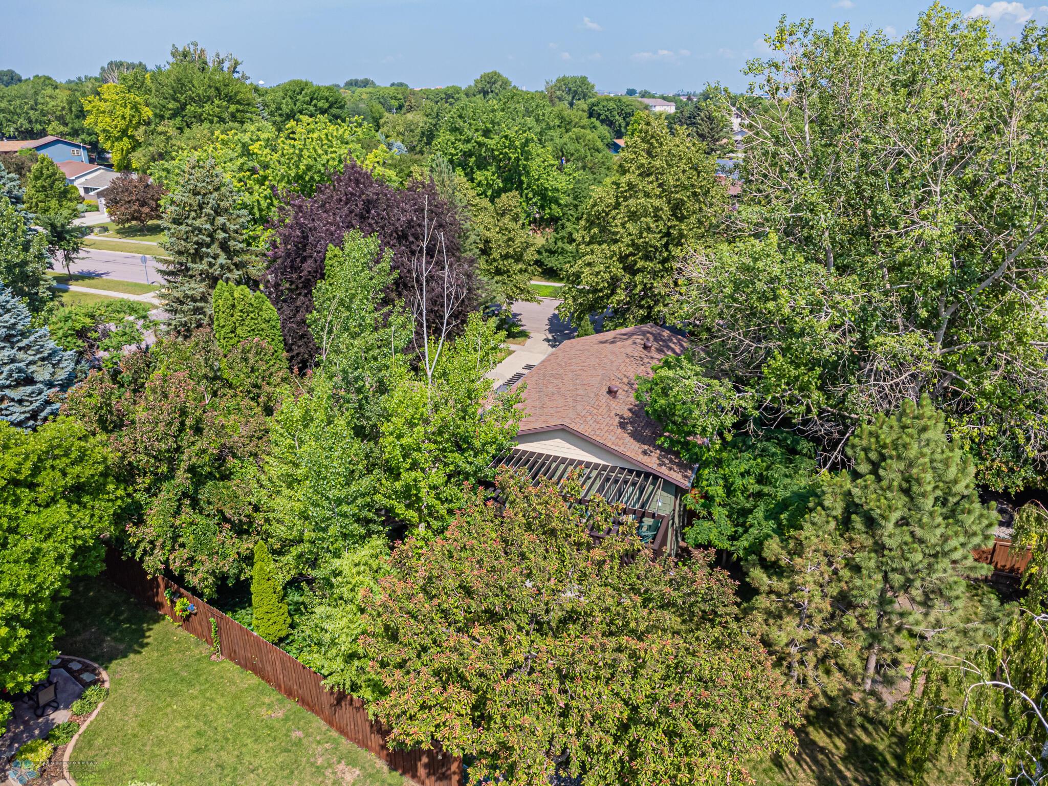 Drone (Backyard)