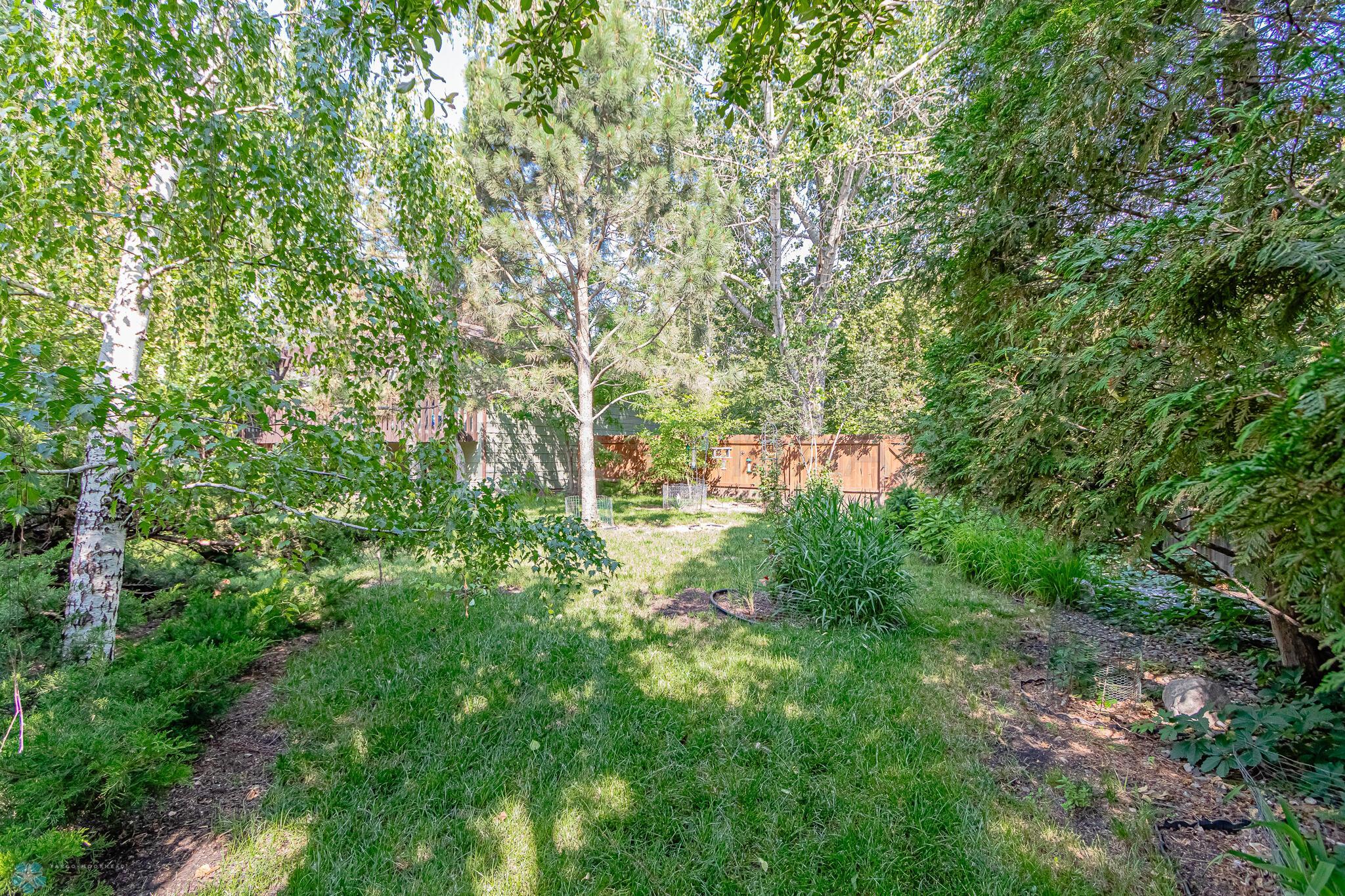 backyard 2