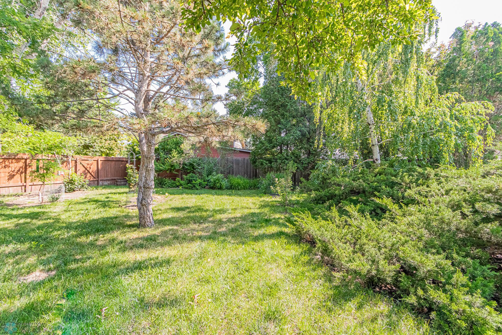 backyard 3