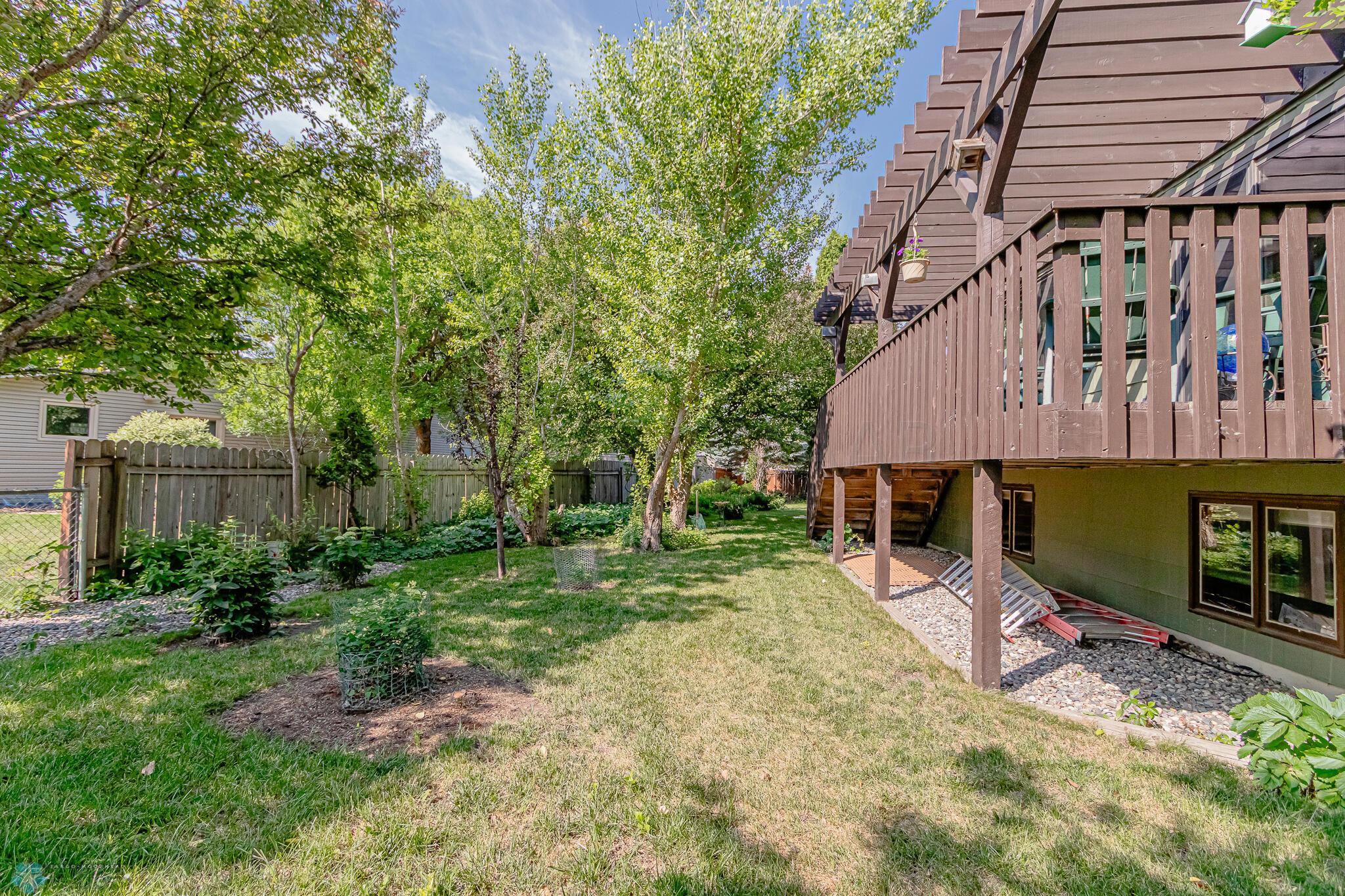 backyard 5