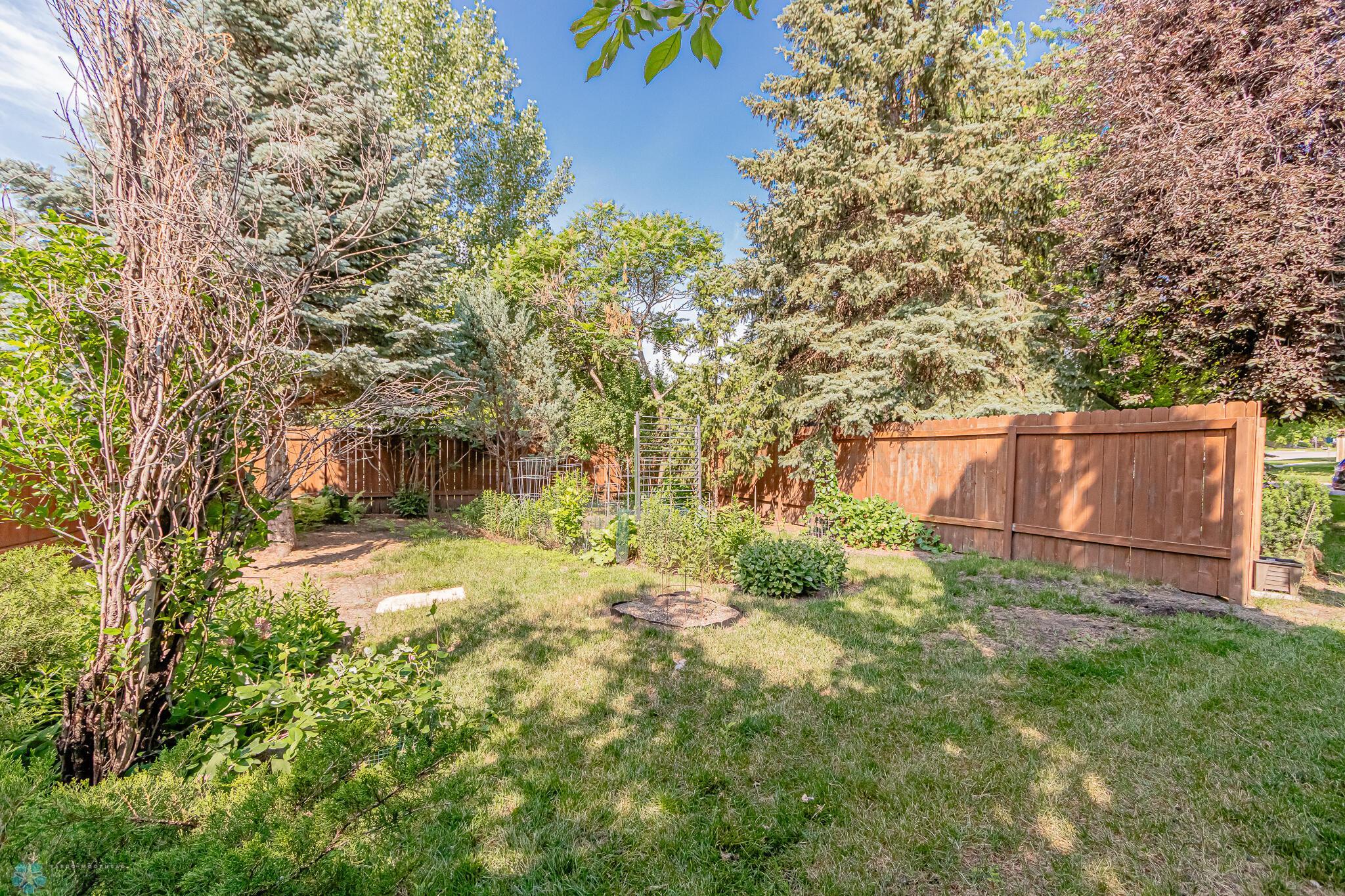 backyard 7