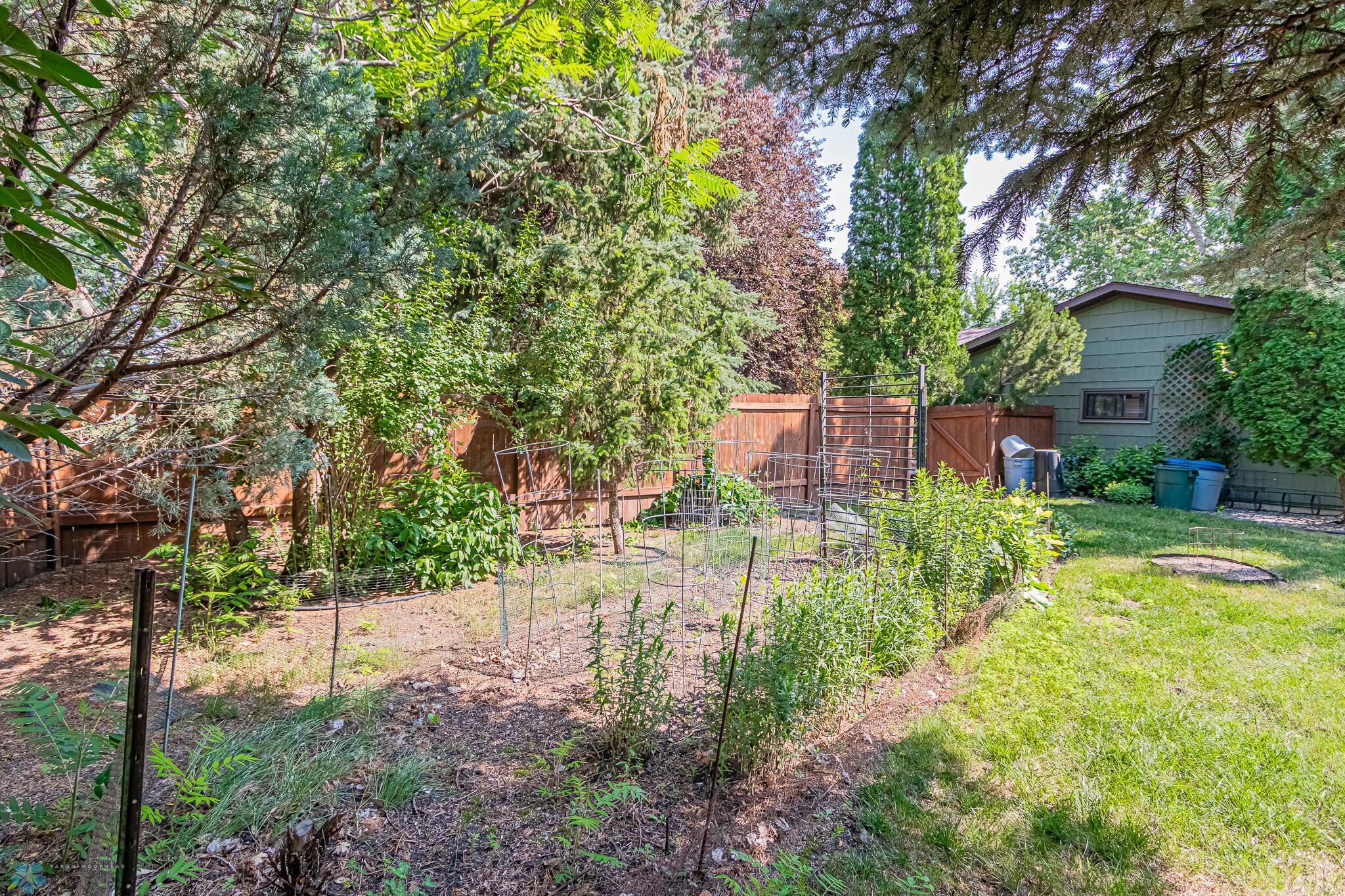backyard 8
