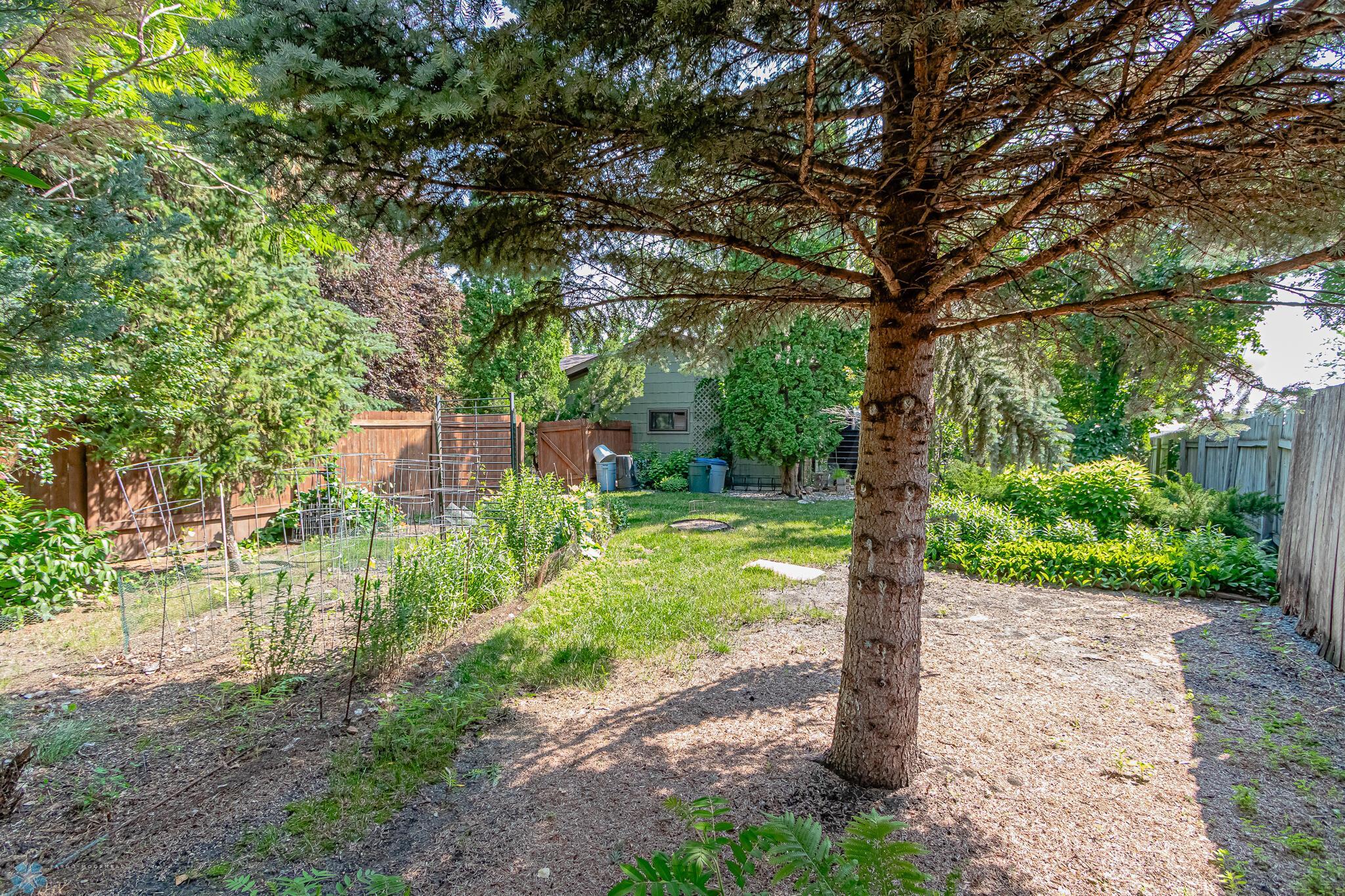 backyard 9
