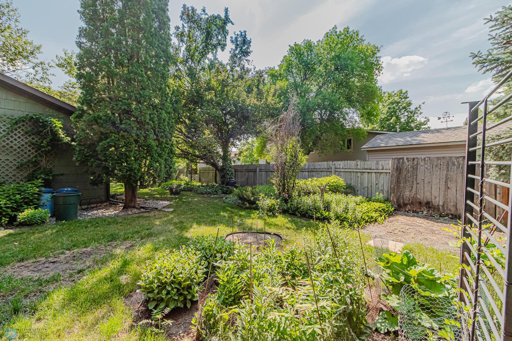 backyard 10