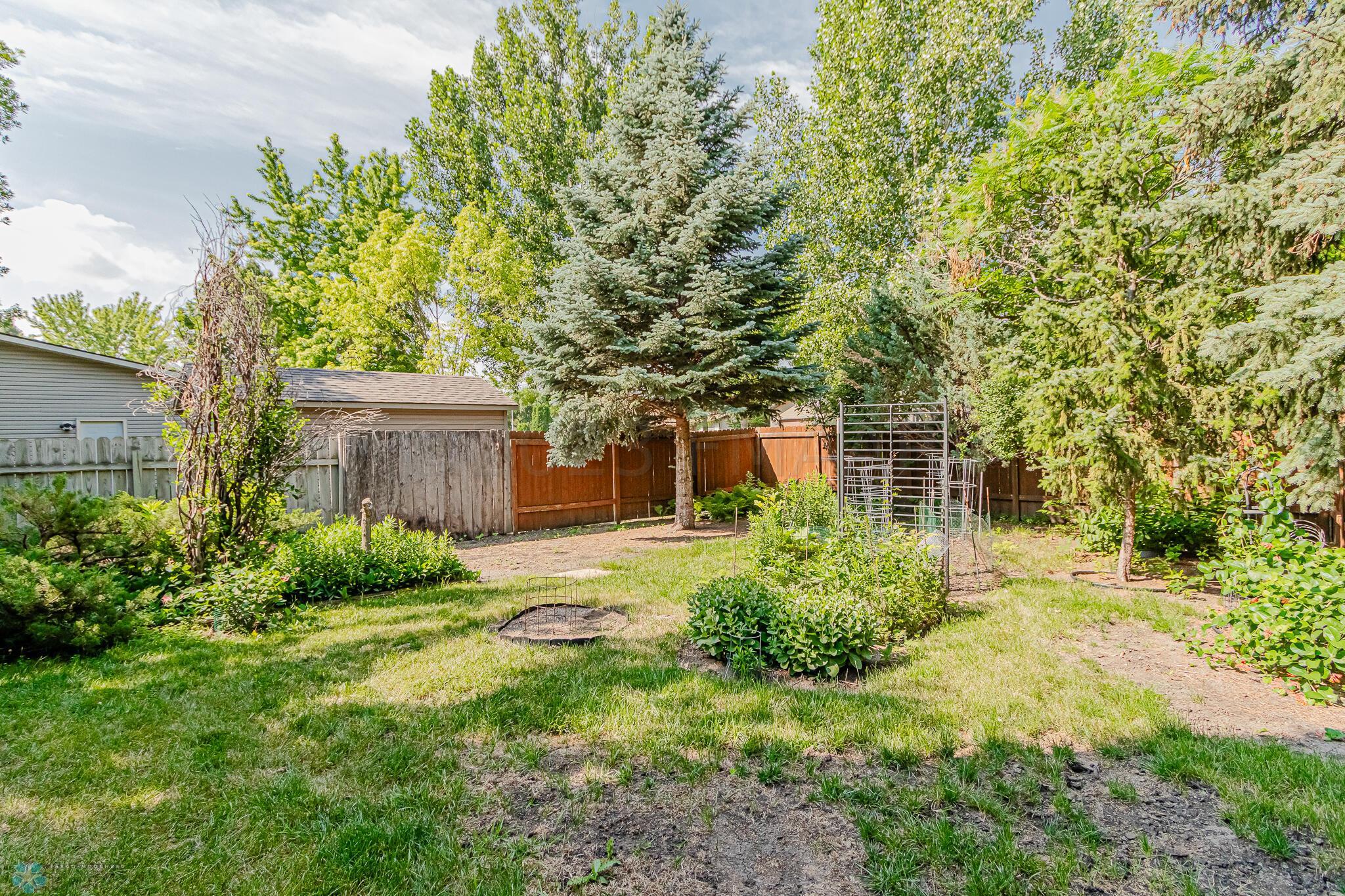 backyard 11