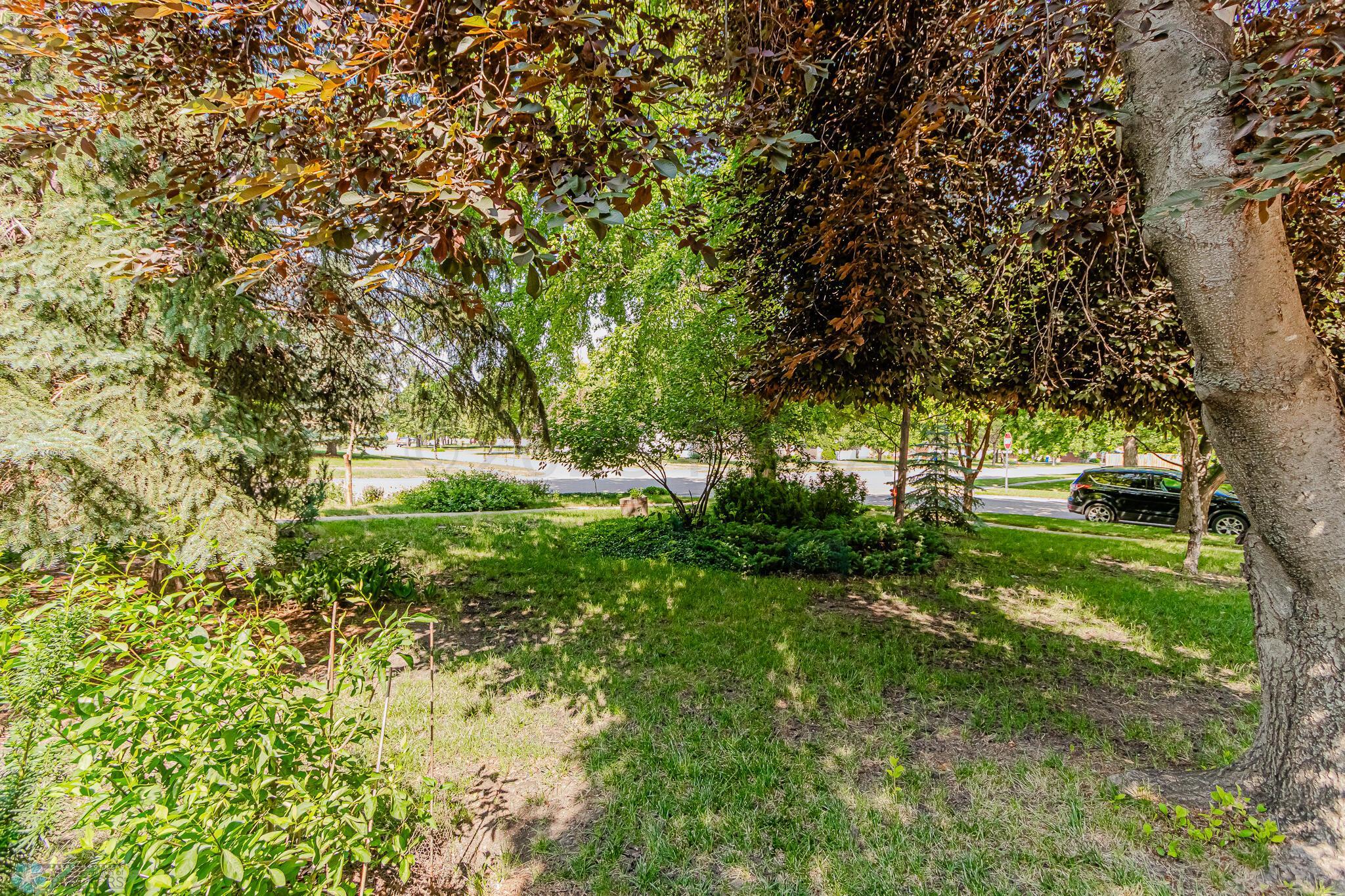 backyard 12