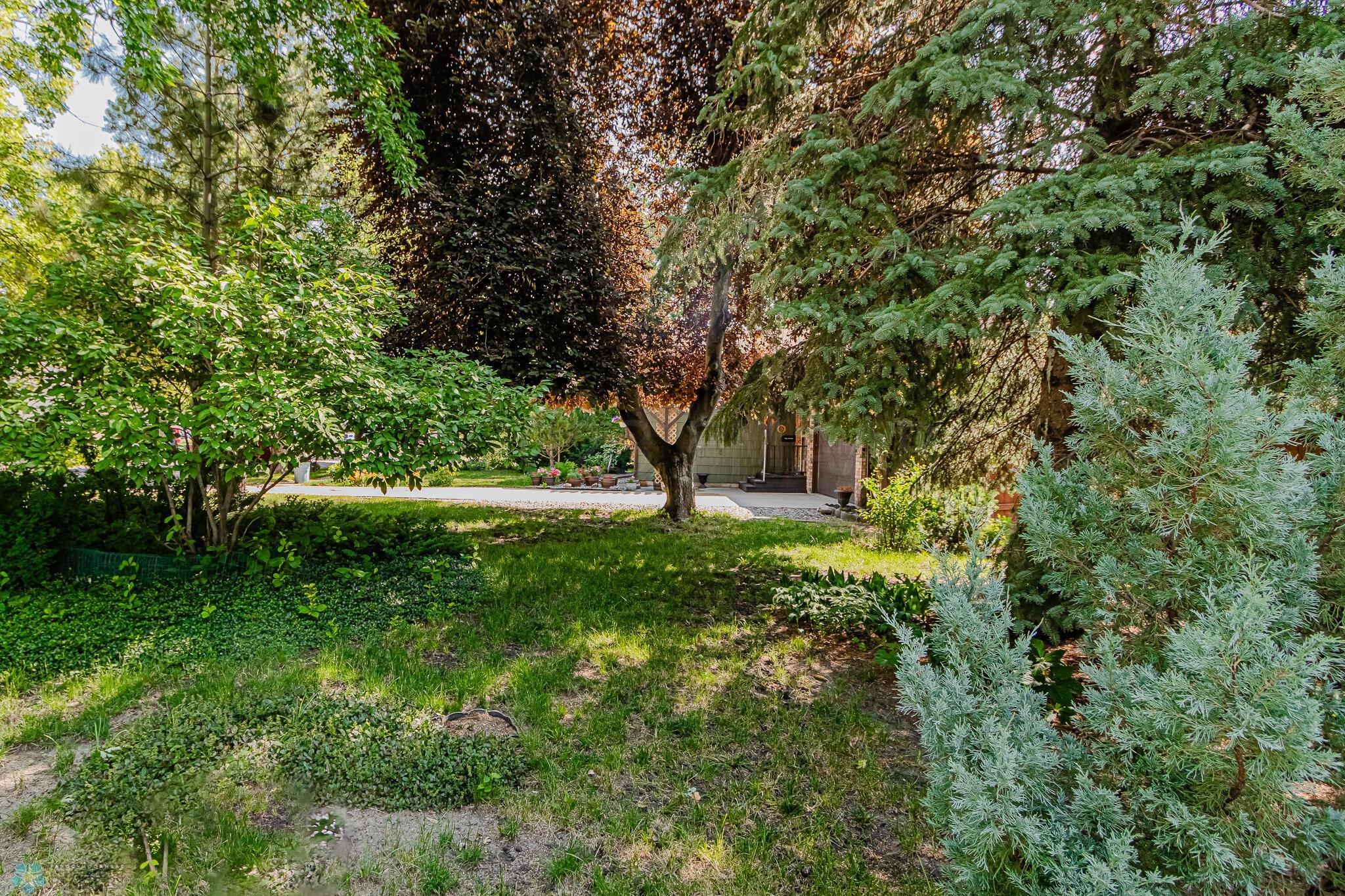 backyard 13