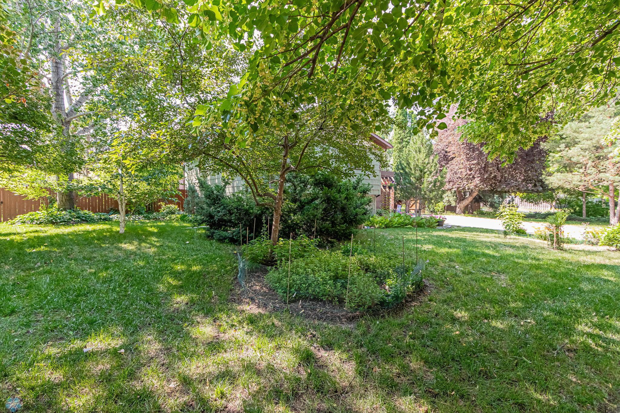 backyard 14