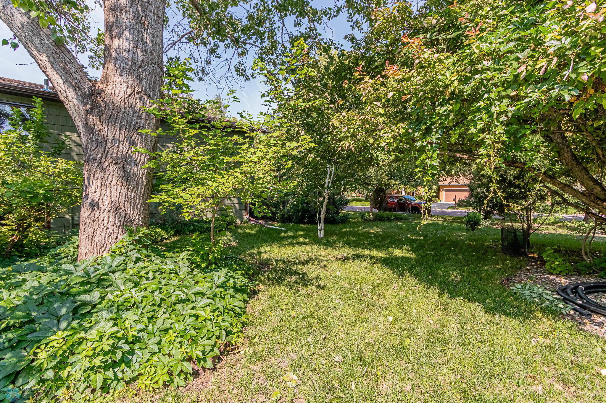 backyard 15