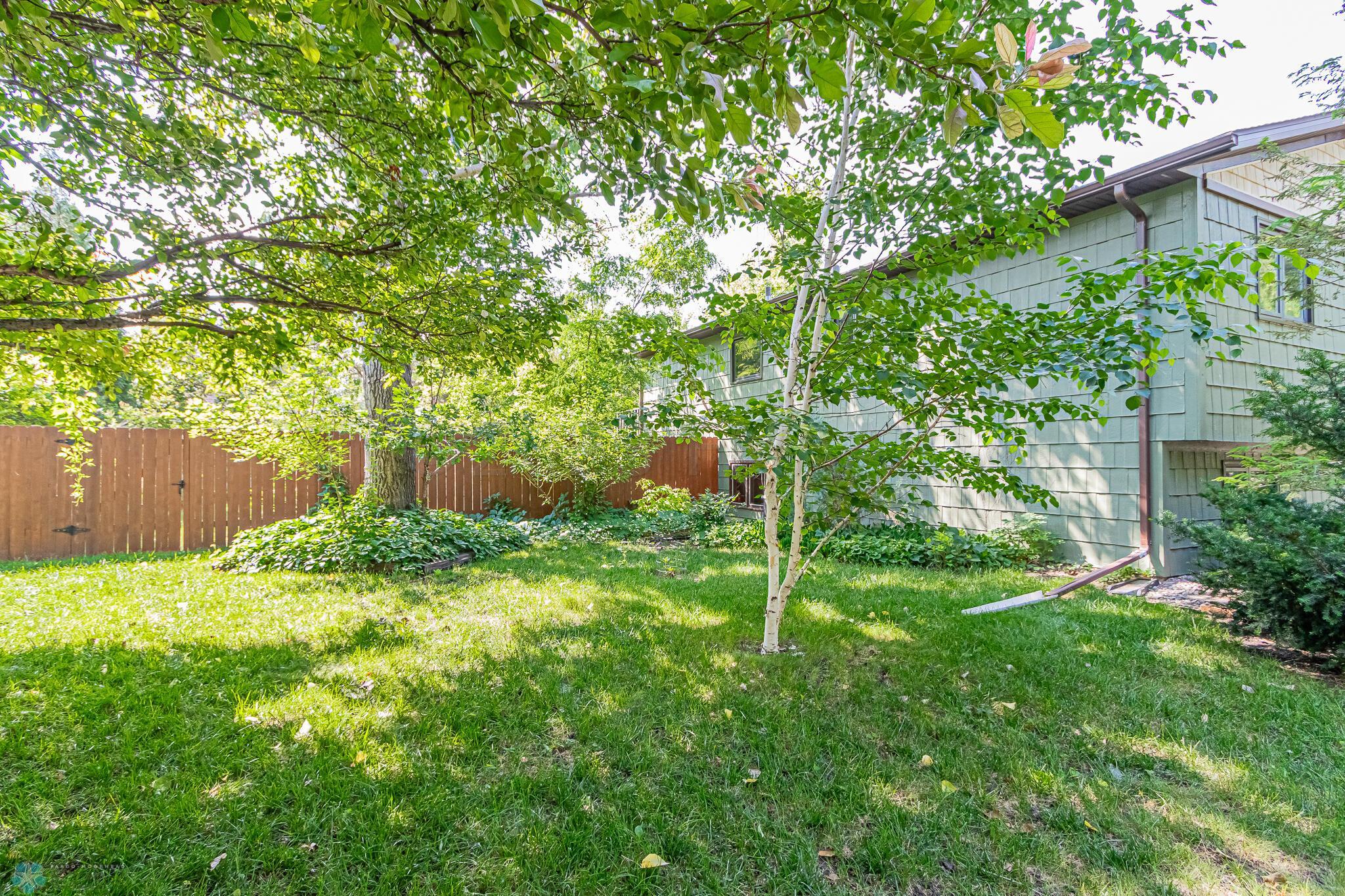 backyard 16