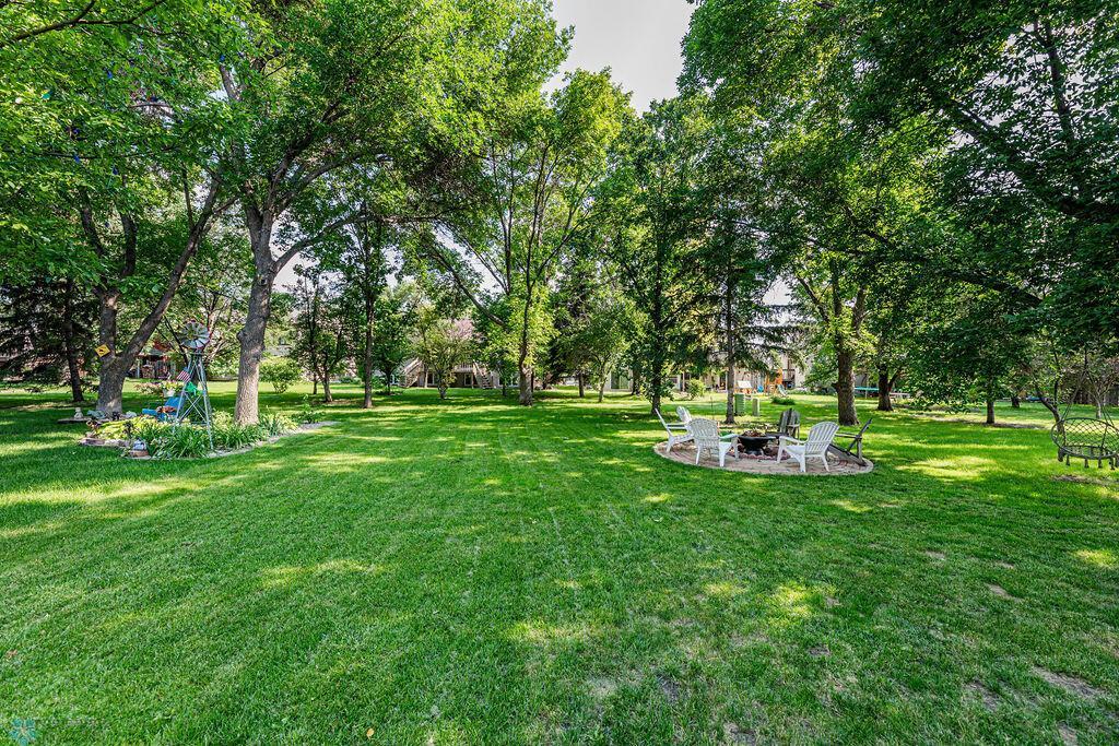 Backyard & Parkway