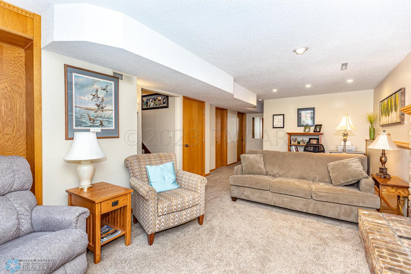 Lower Living Room