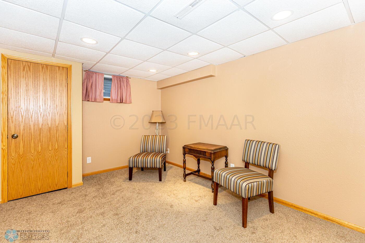 Basement living room