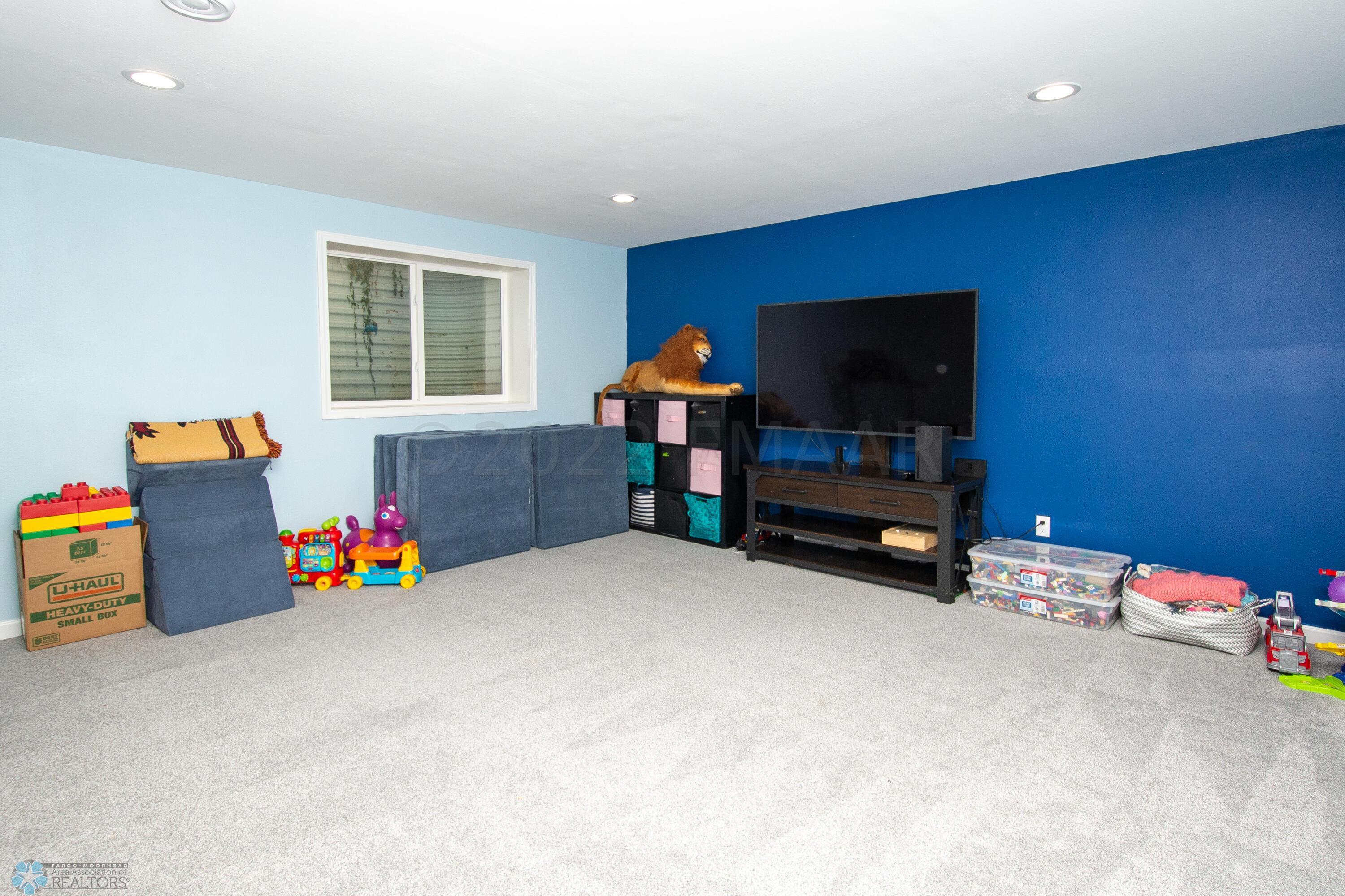 Basement Family Room