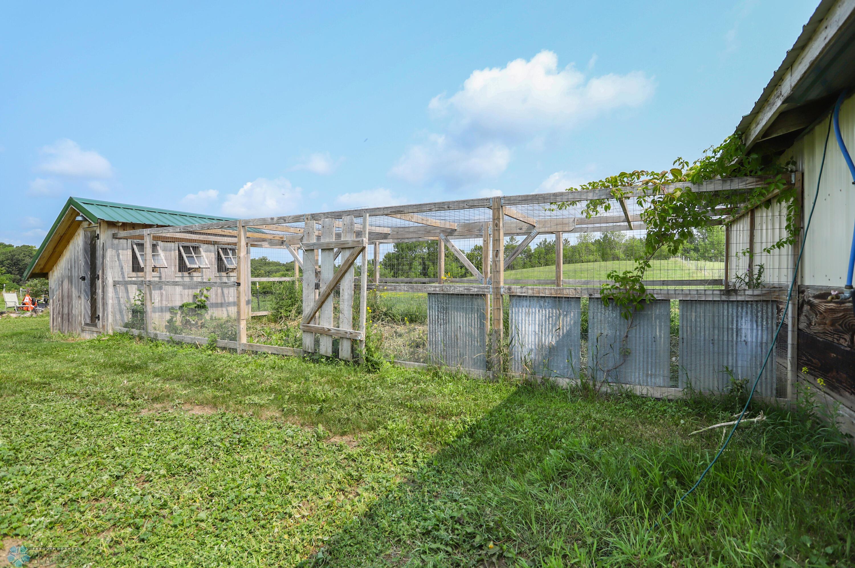 Chicken Coop